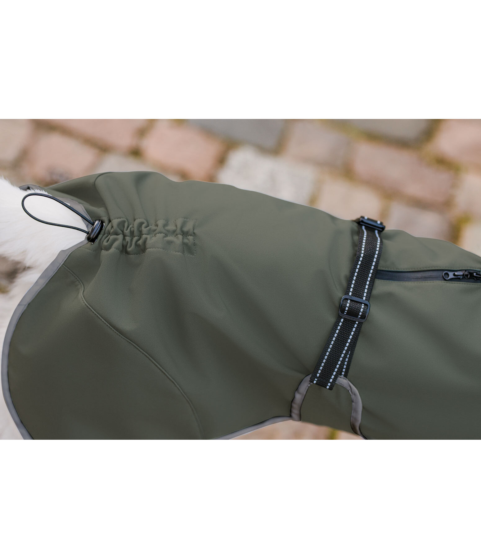 Cappotto in softshell per cani con colletto in pile Frida