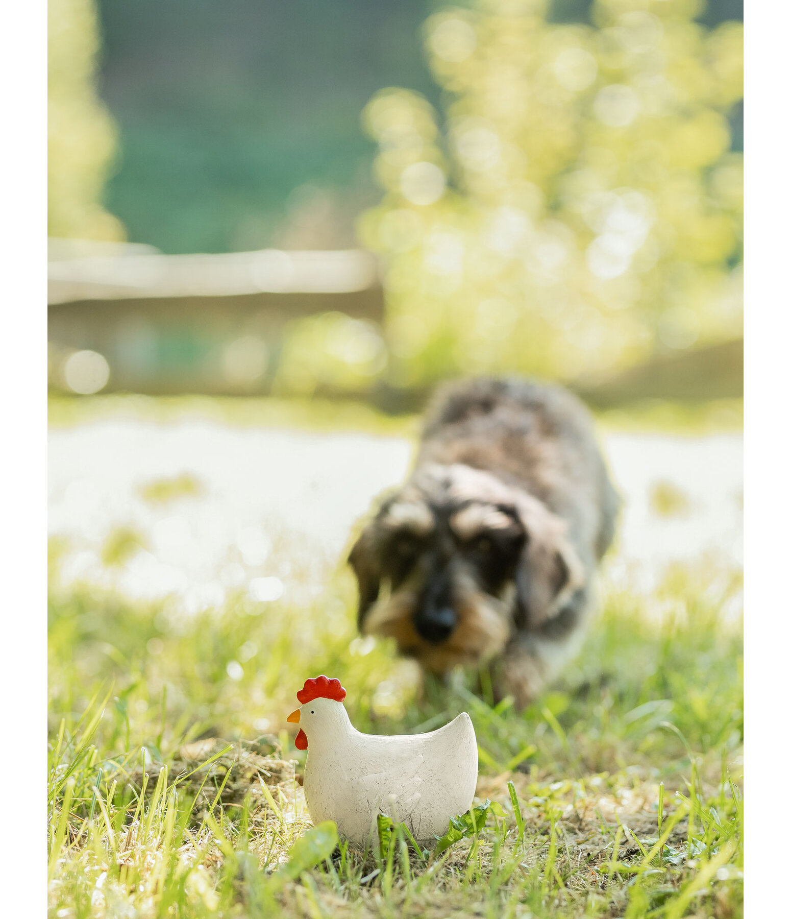Giocattolo con squeaker per cani Chicken