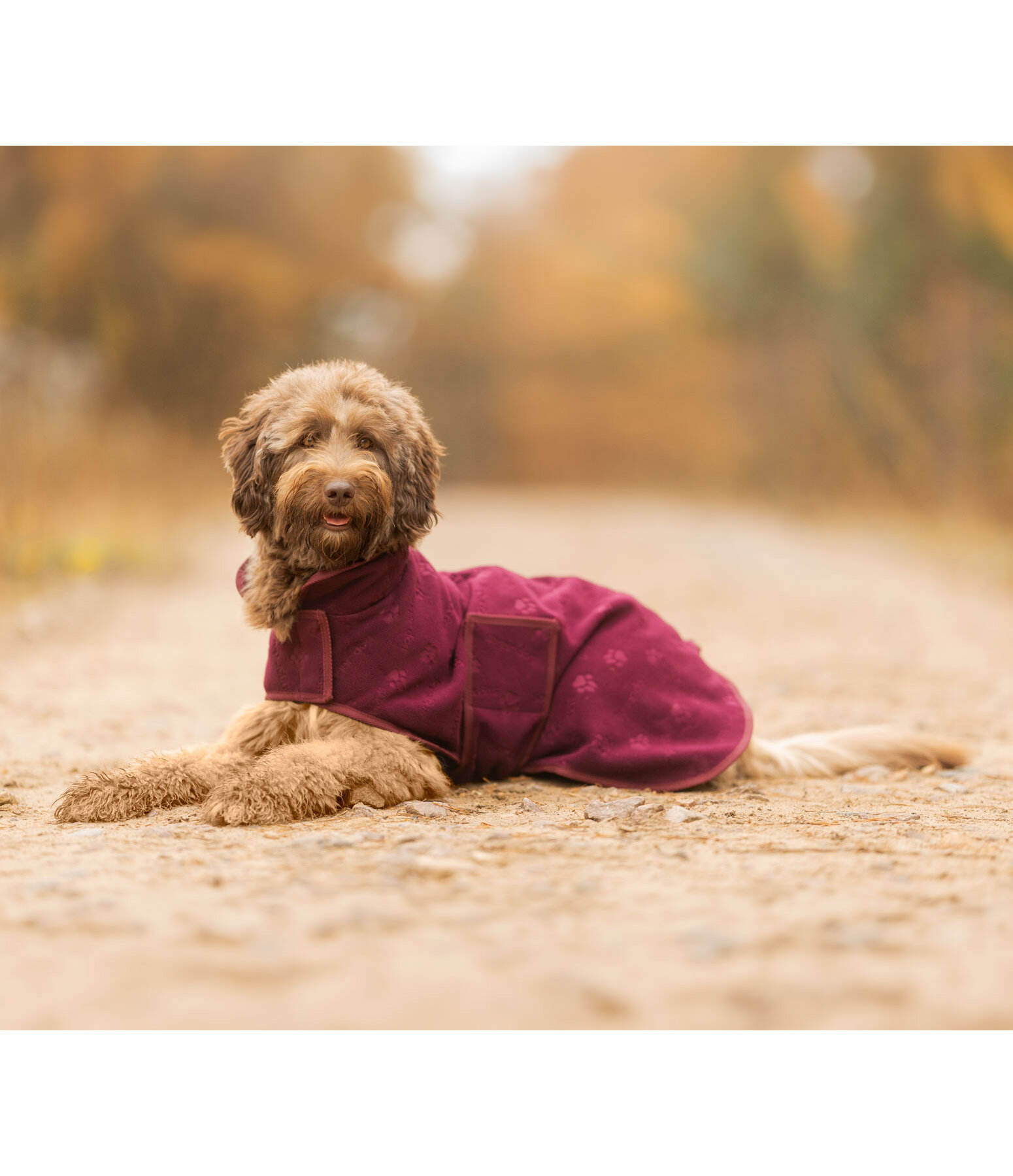 Cappotto in pile per cani Lino