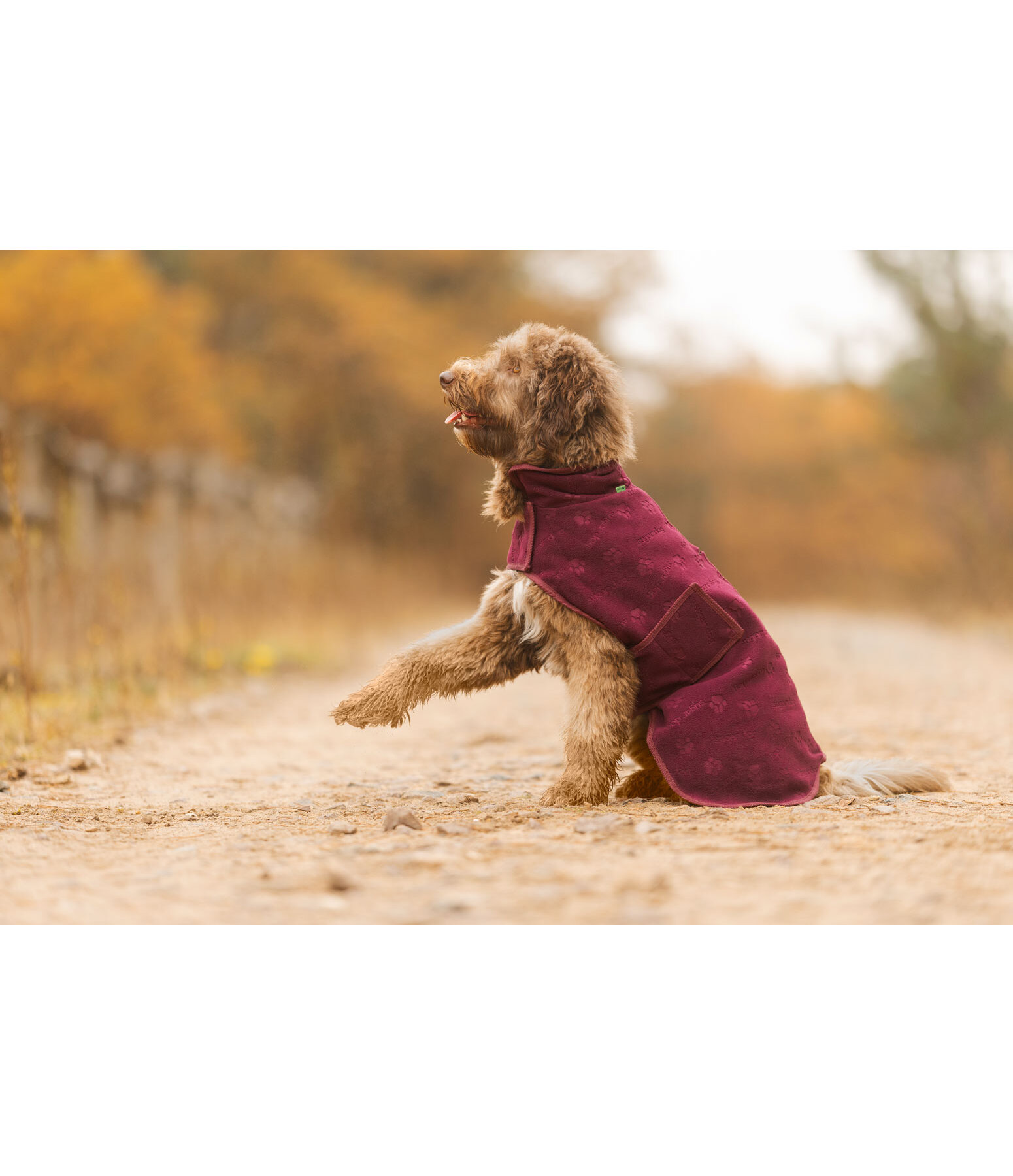 Cappotto in pile per cani Lino