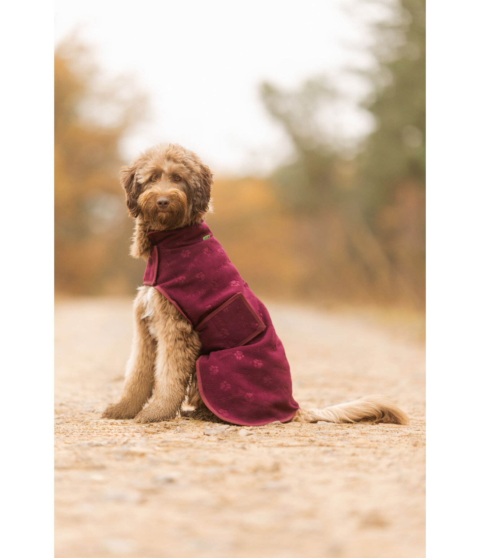 Cappotto in pile per cani Lino