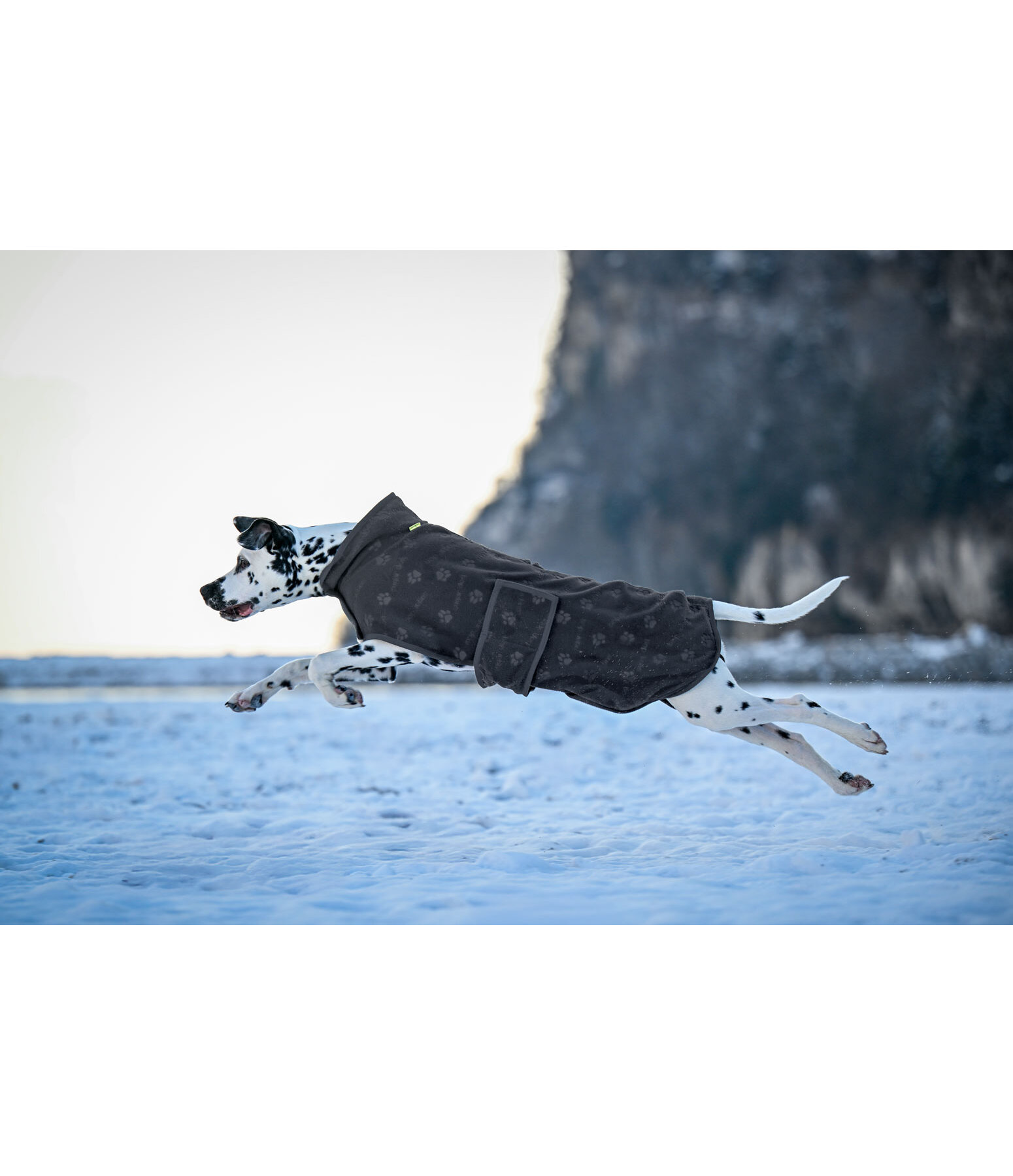 Cappotto in pile per cani Lino