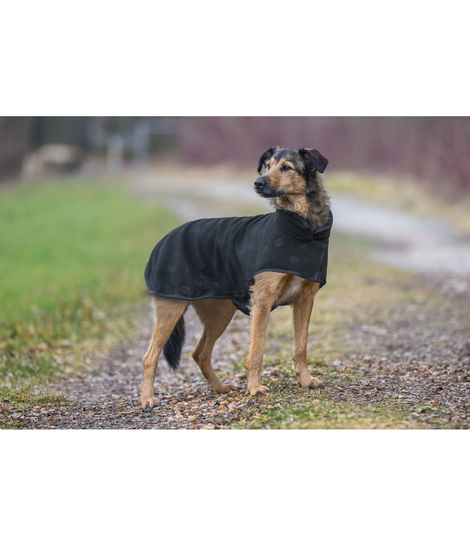 Cappotto in pile per cani Lino