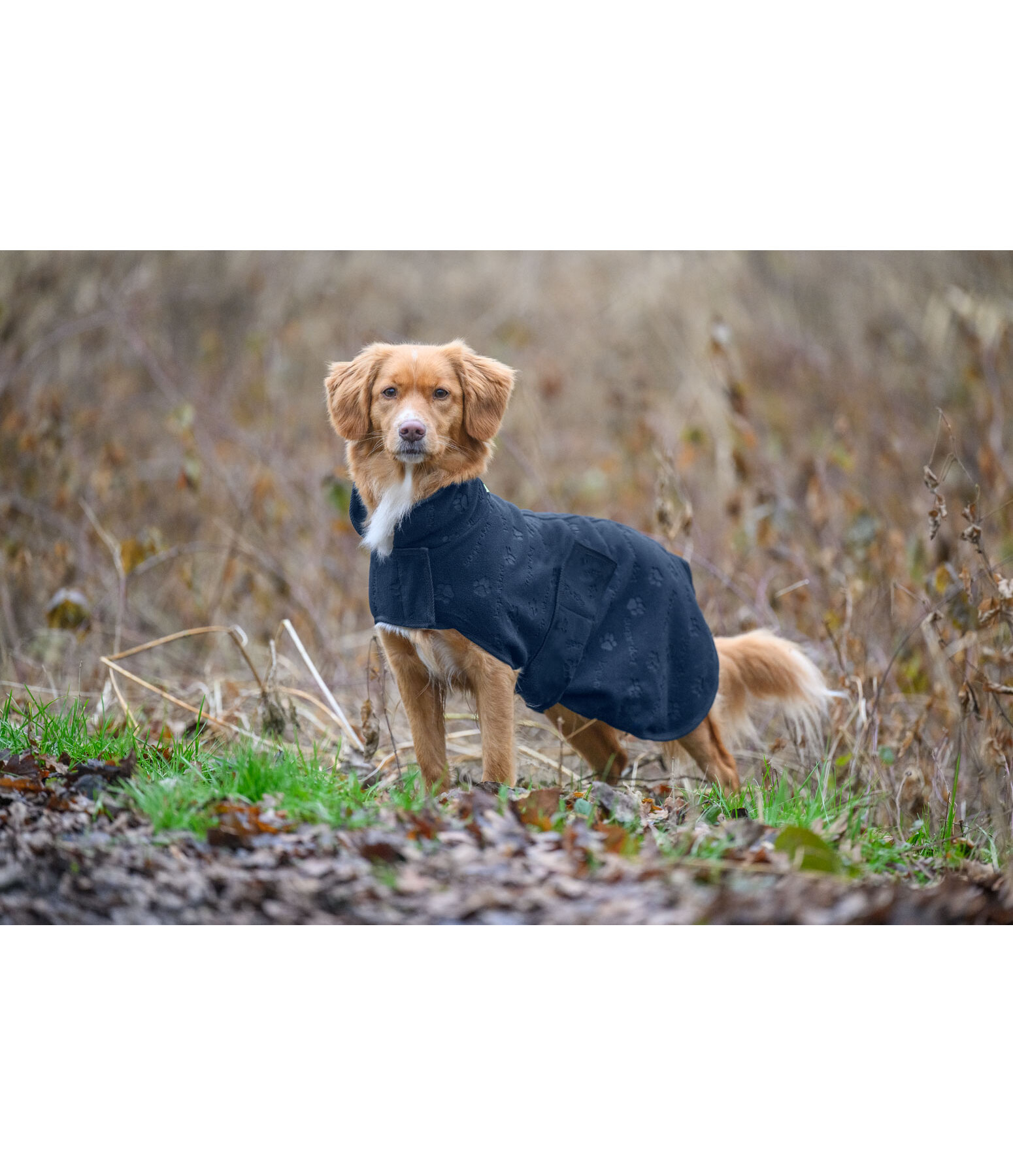 Cappotto in pile per cani Lino