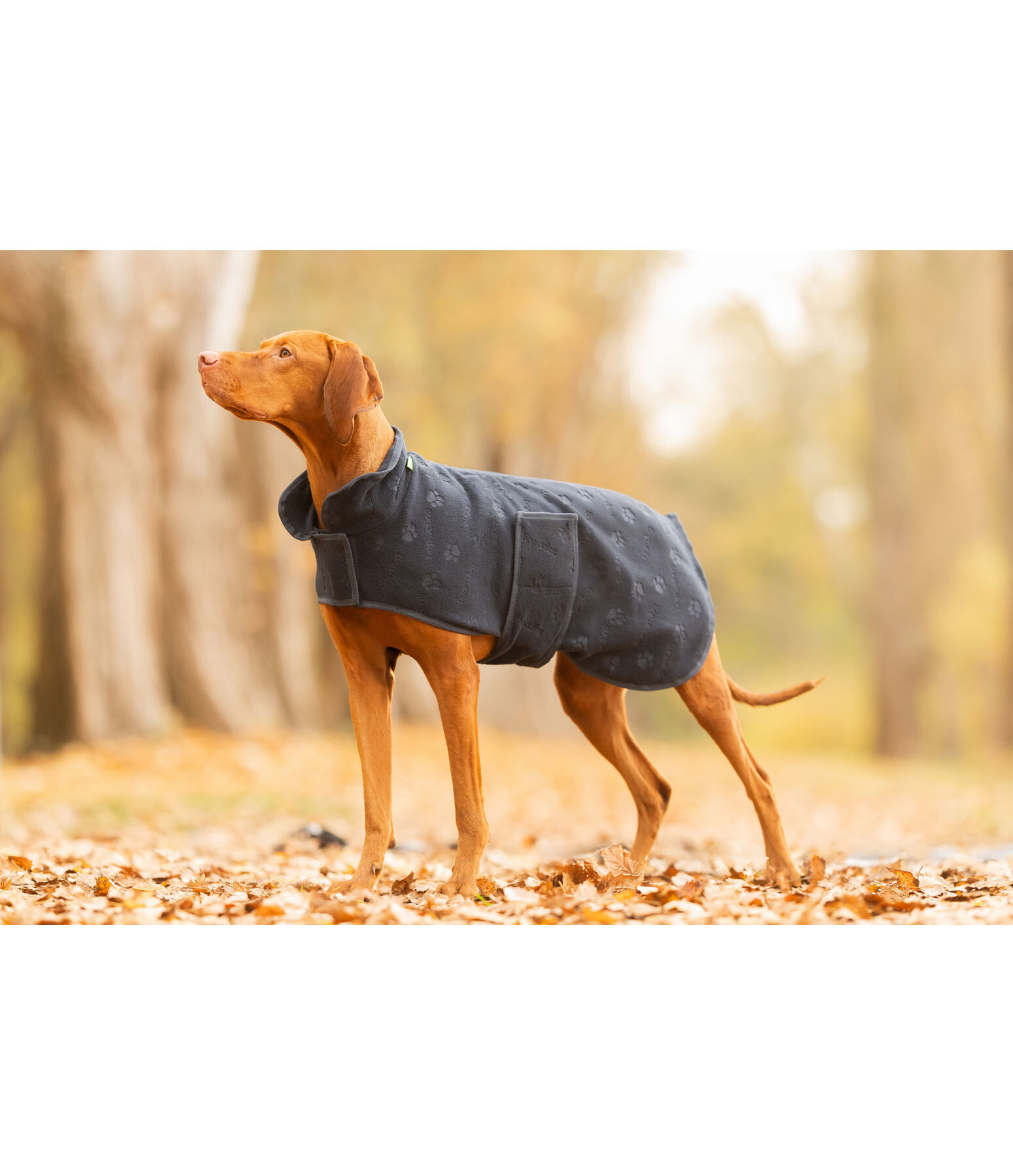 Cappotto in pile per cani Lino