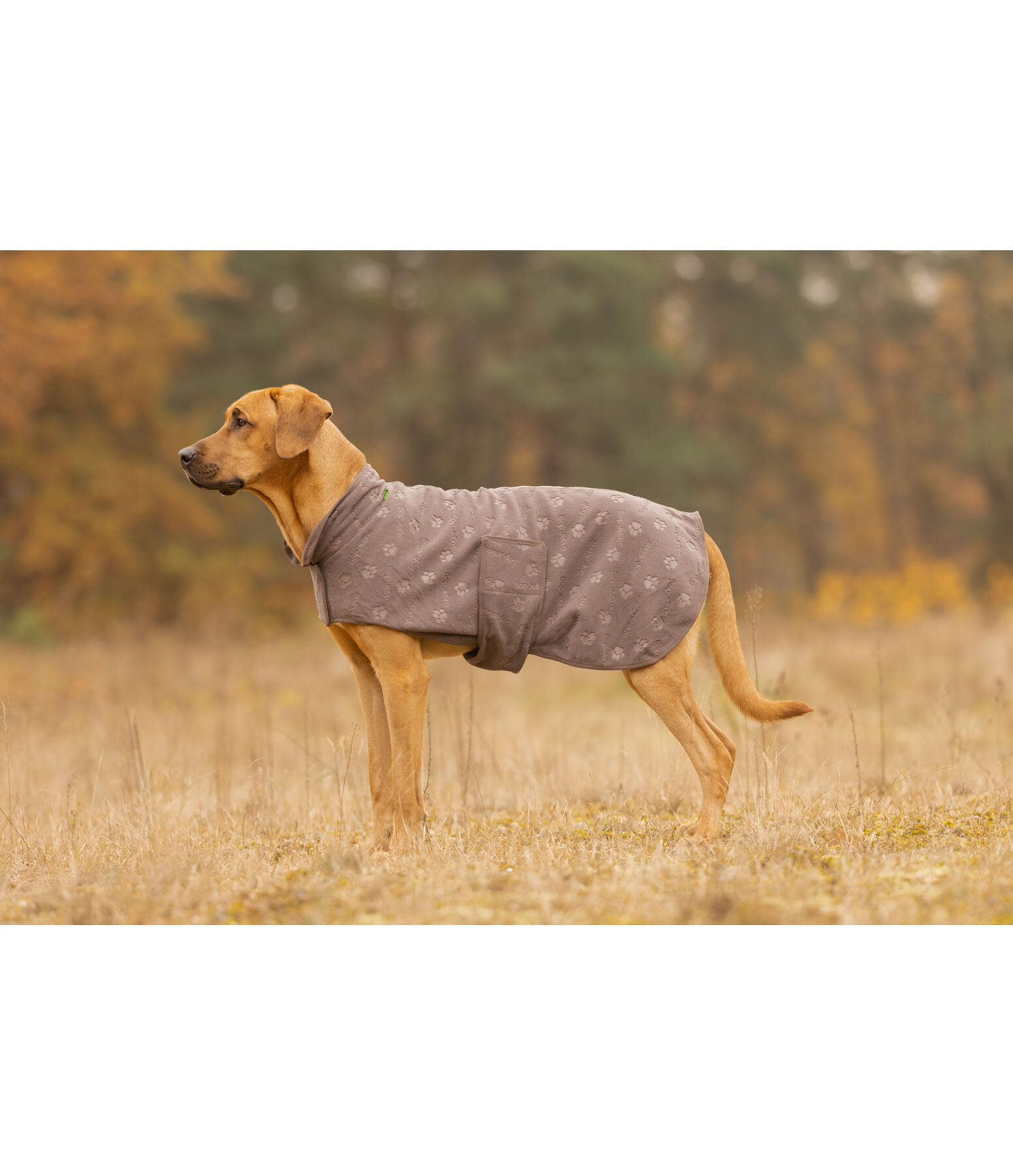 Cappotto in pile per cani Lino