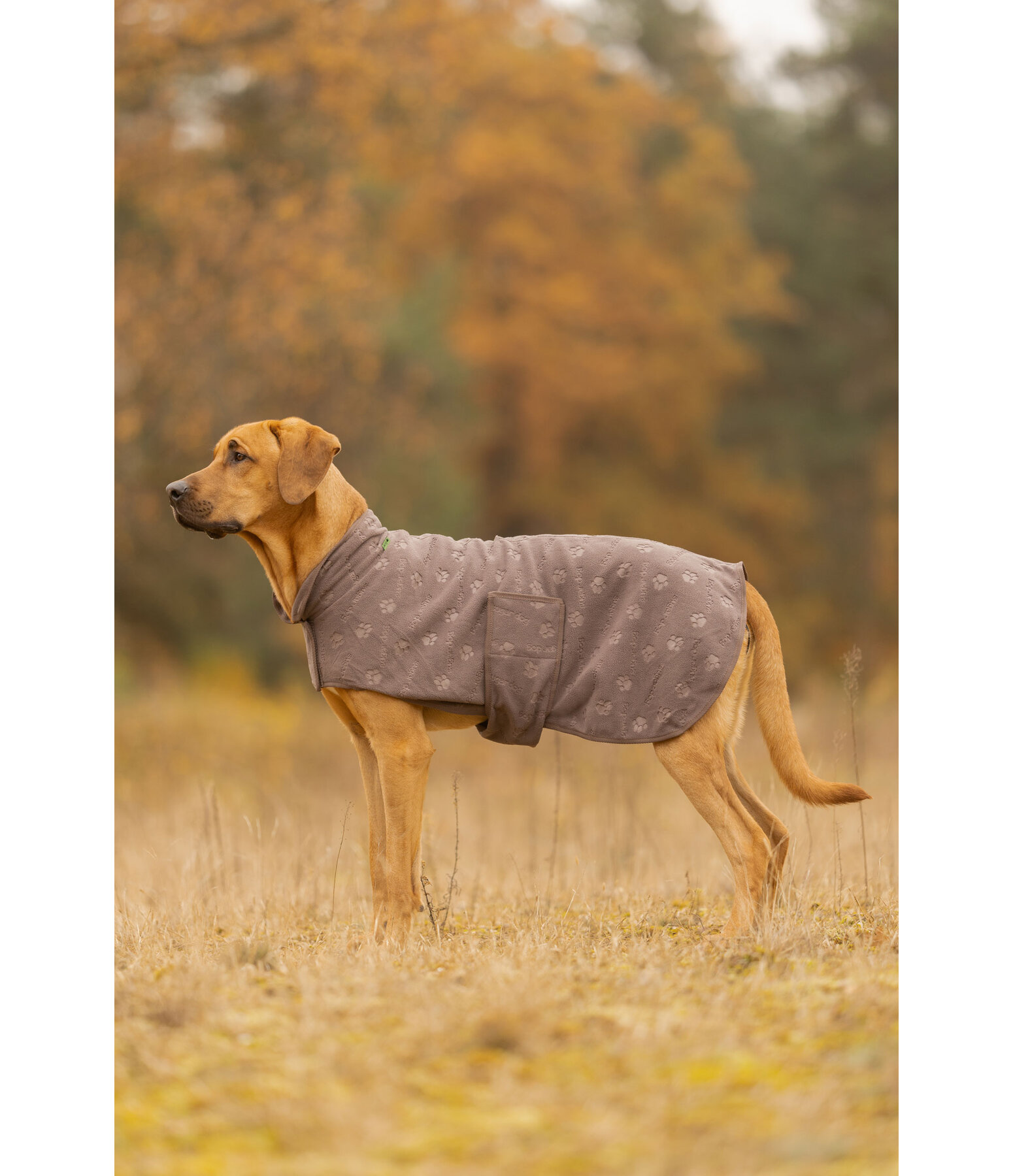 Cappotto in pile per cani Lino