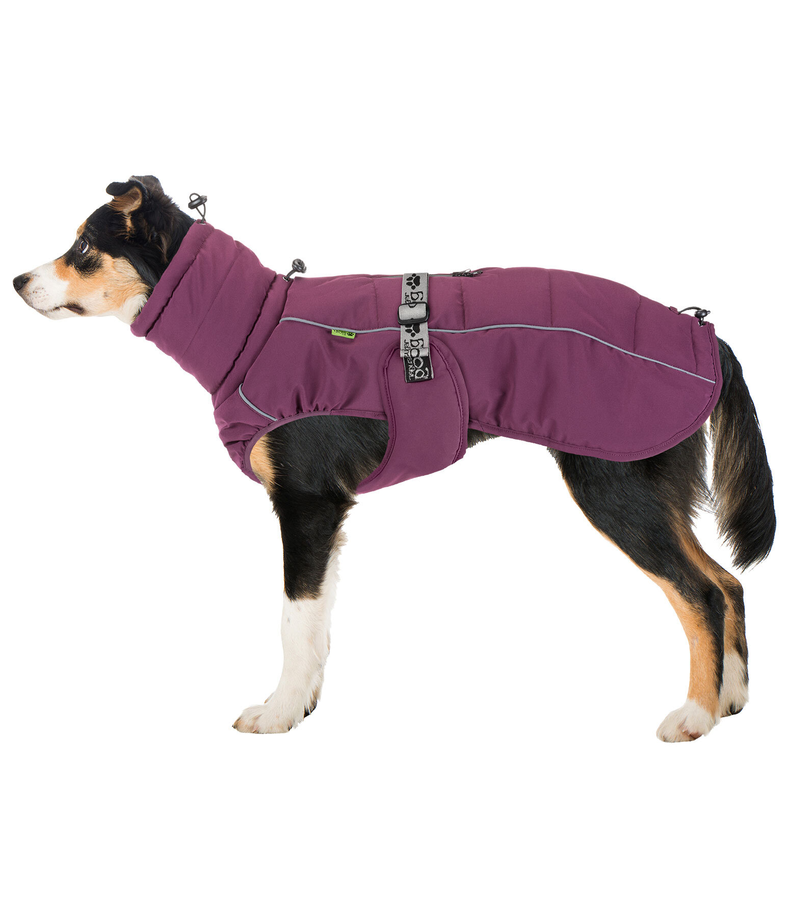 Cappotto invernale per cani Marlon, 200-300 g