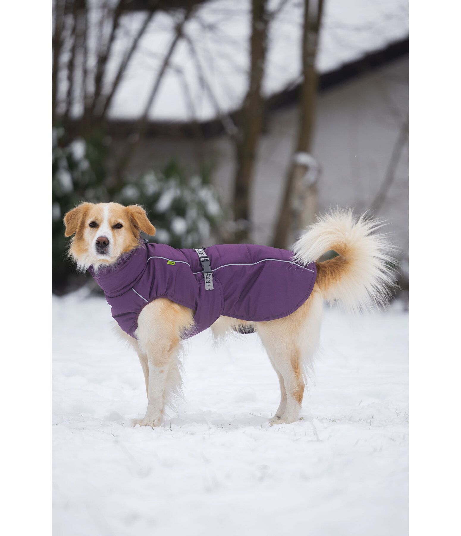 Cappotto invernale per cani Marlon, 200-300 g