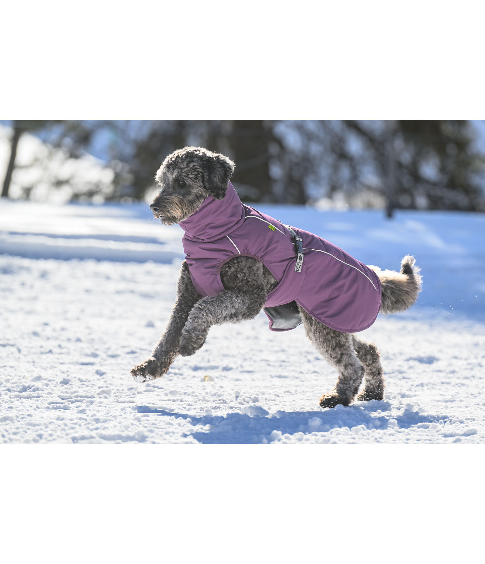 Cappotto invernale per cani Marlon, 200-300 g