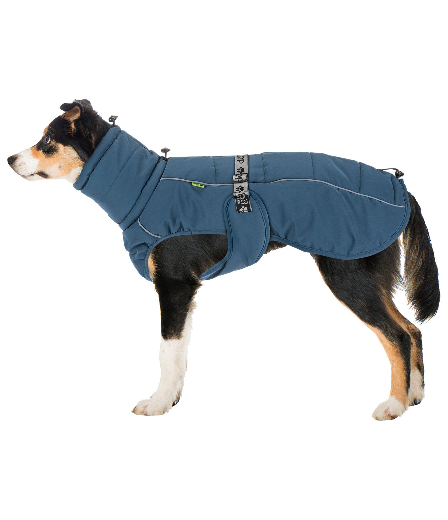 Cappotto invernale per cani Marlon, 200-300 g