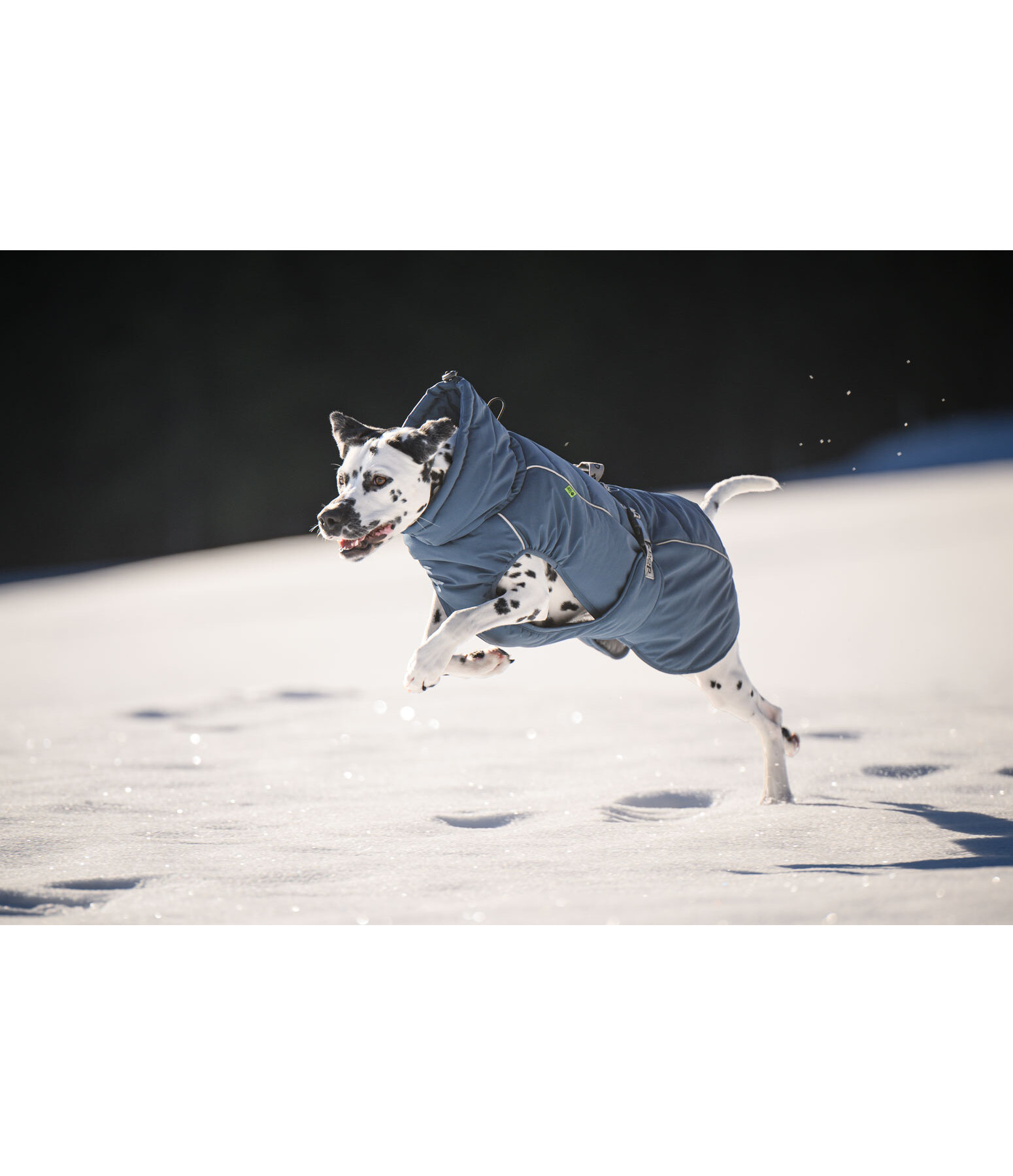 Cappotto invernale per cani Marlon, 200-300 g