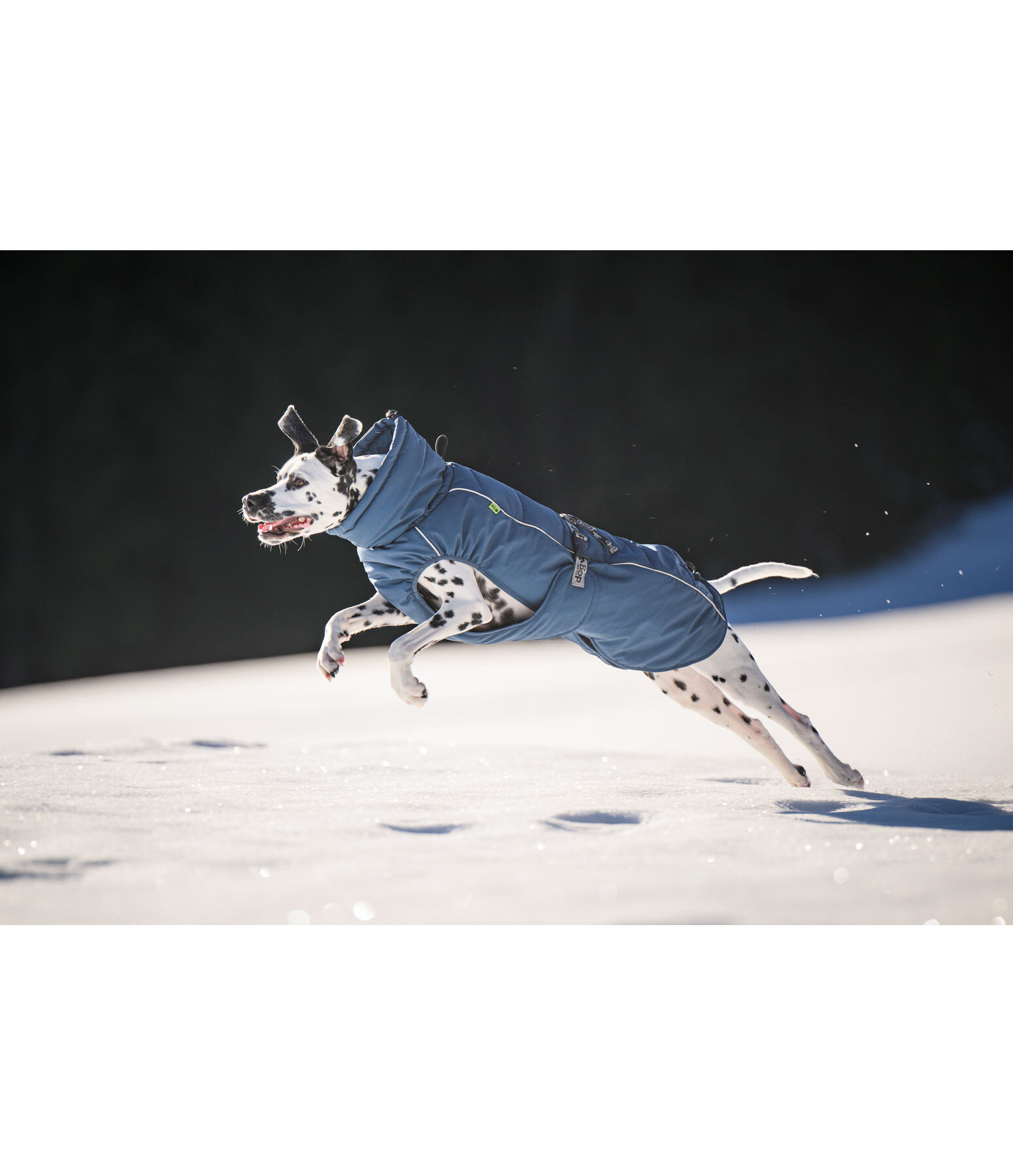 Cappotto invernale per cani Marlon, 200-300 g