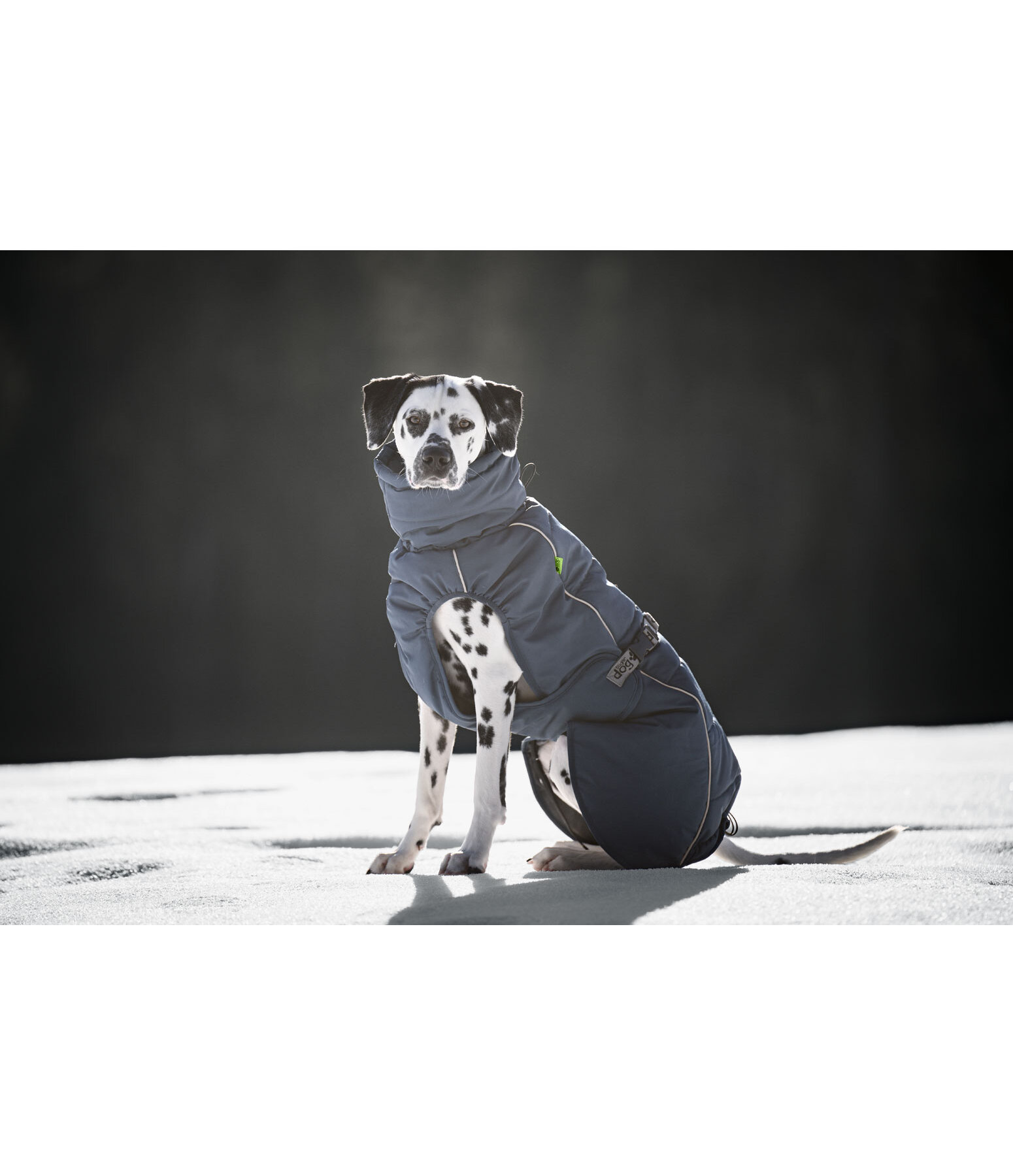Cappotto invernale per cani Marlon, 200-300 g