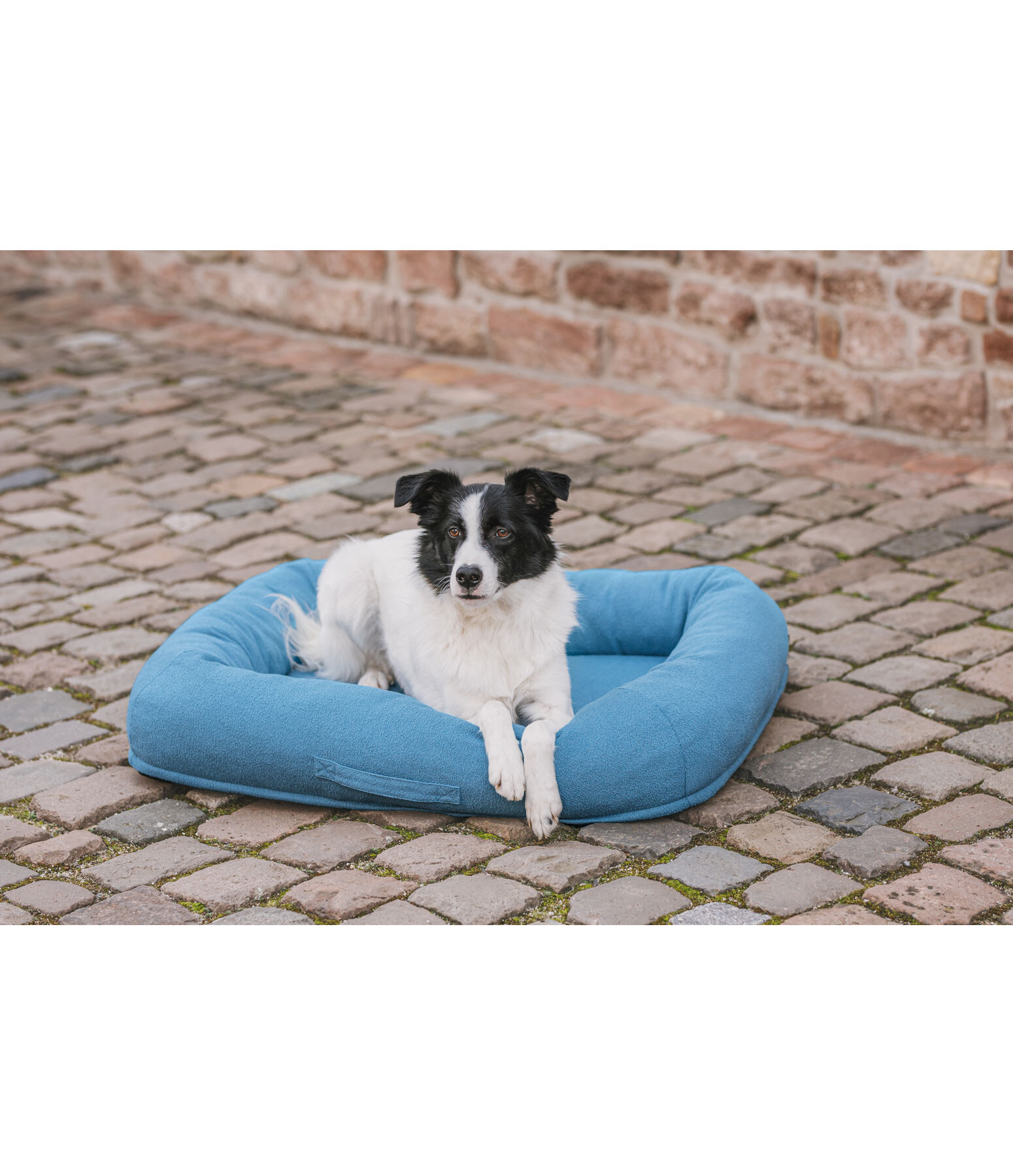 Cuccia per cani Terry