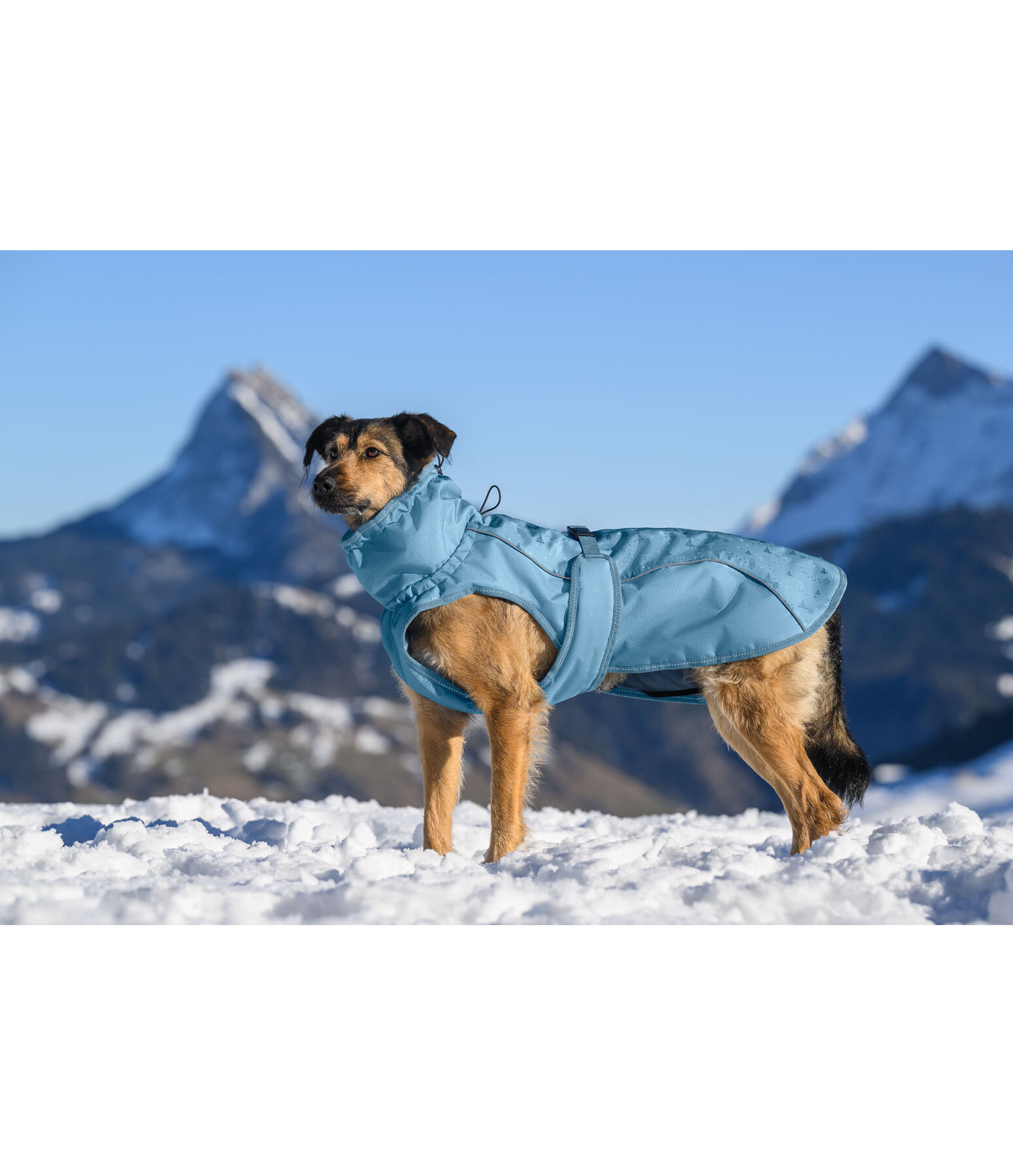 Cappotto invernale per cani Wonderland, 140 g