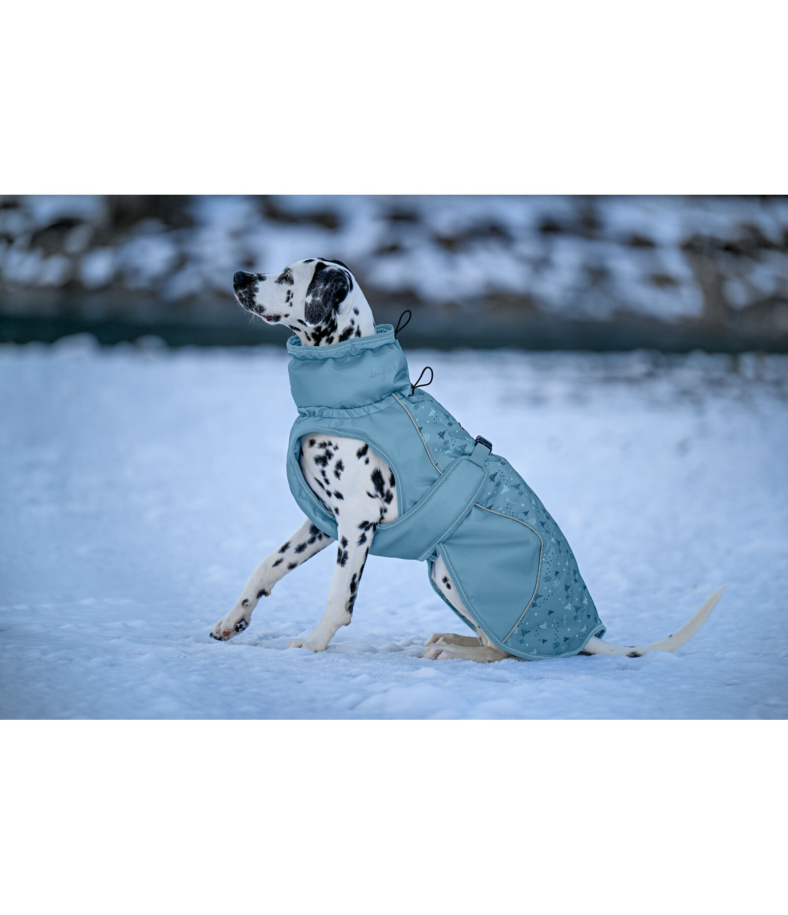 Cappotto invernale per cani Wonderland, 140 g