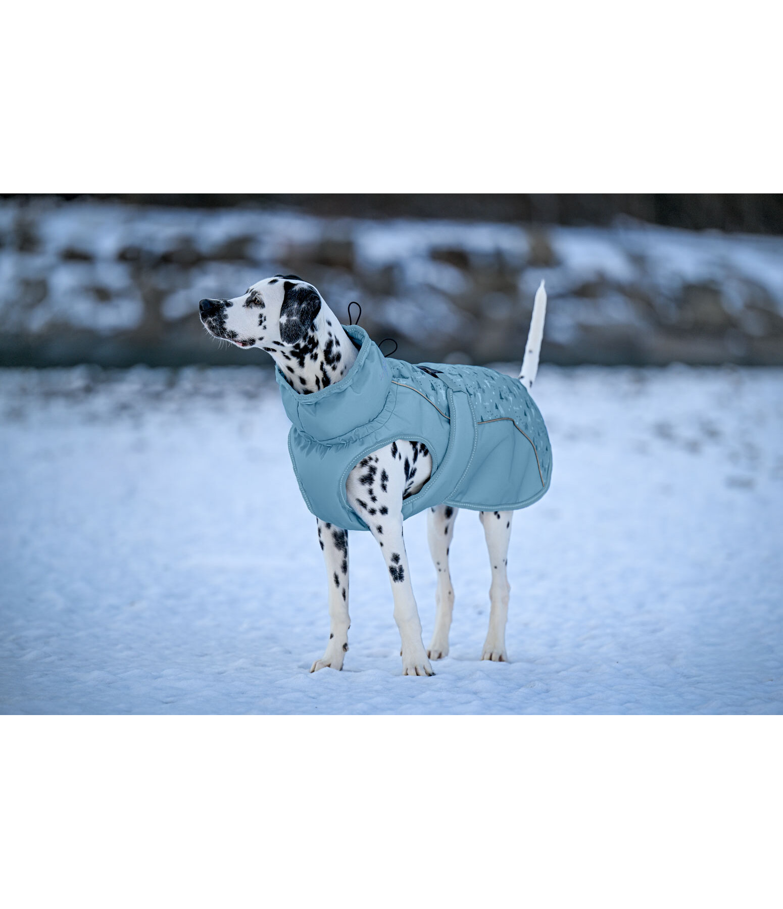 Cappotto invernale per cani Wonderland, 140 g