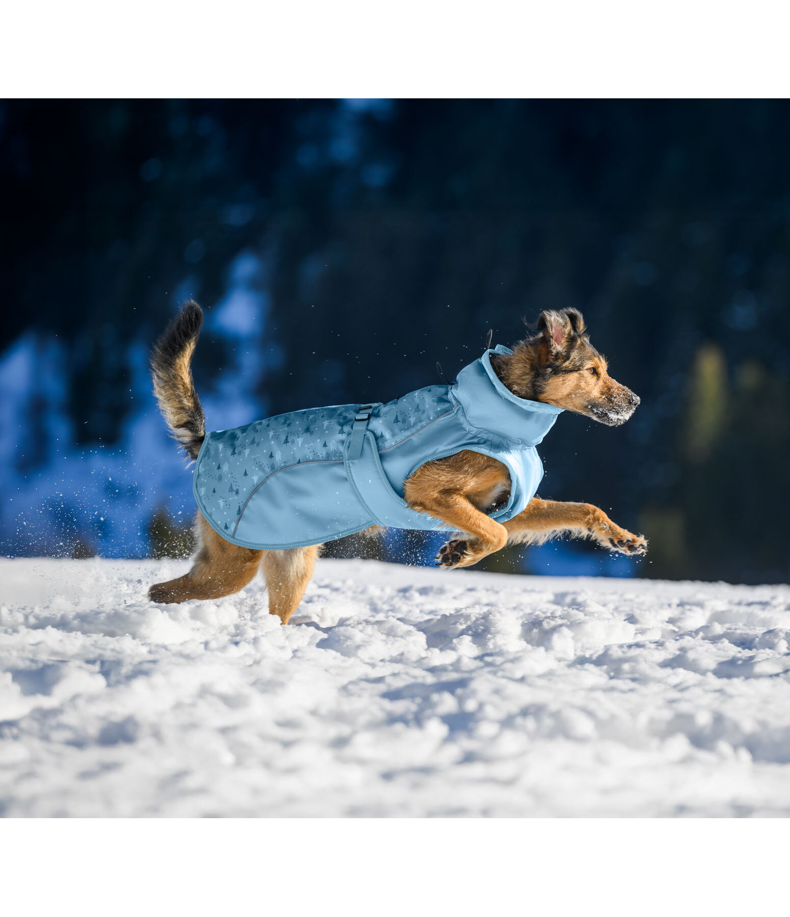 Cappotto invernale per cani Wonderland, 140 g