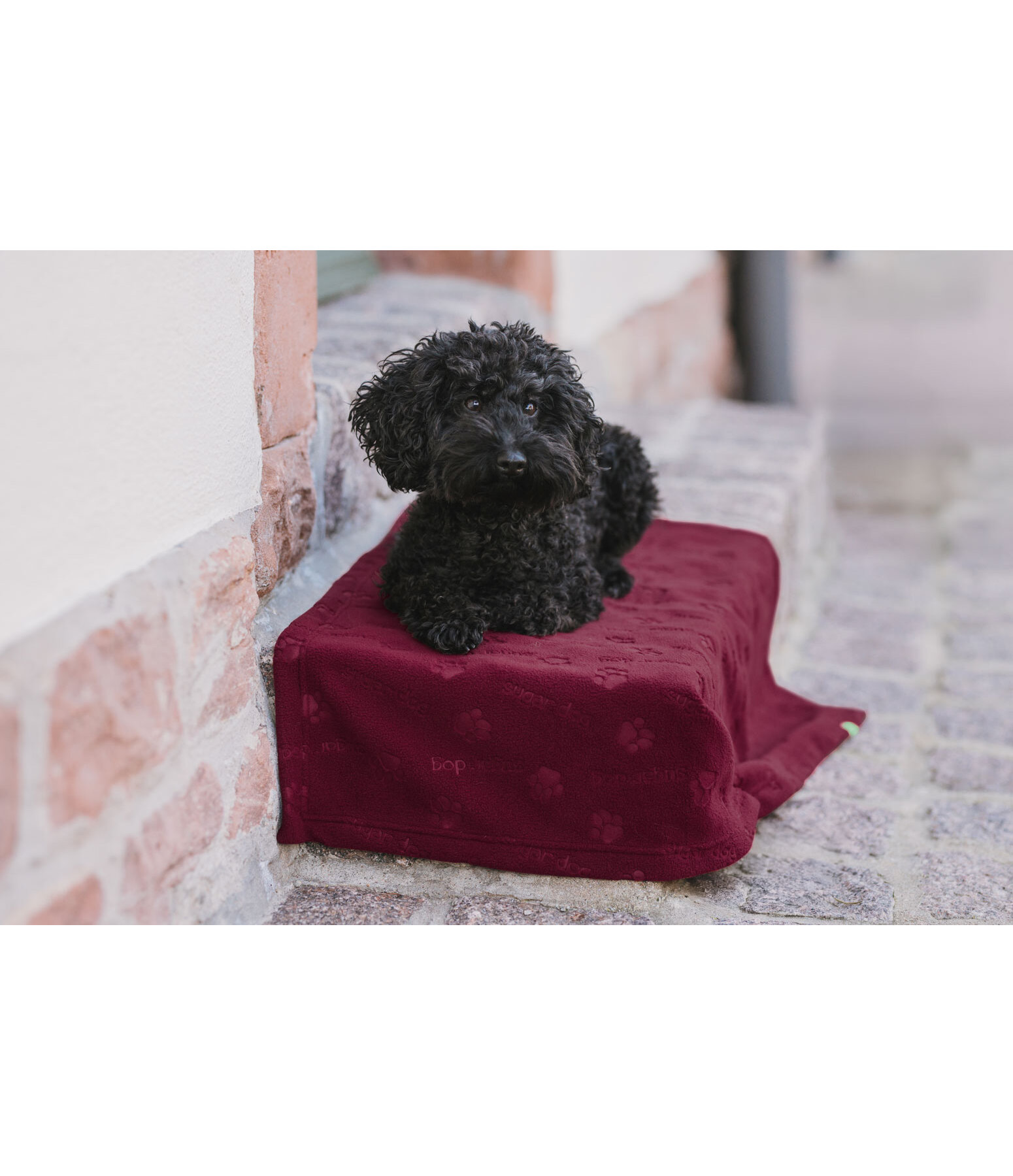 Coperta in pile per cani Charly