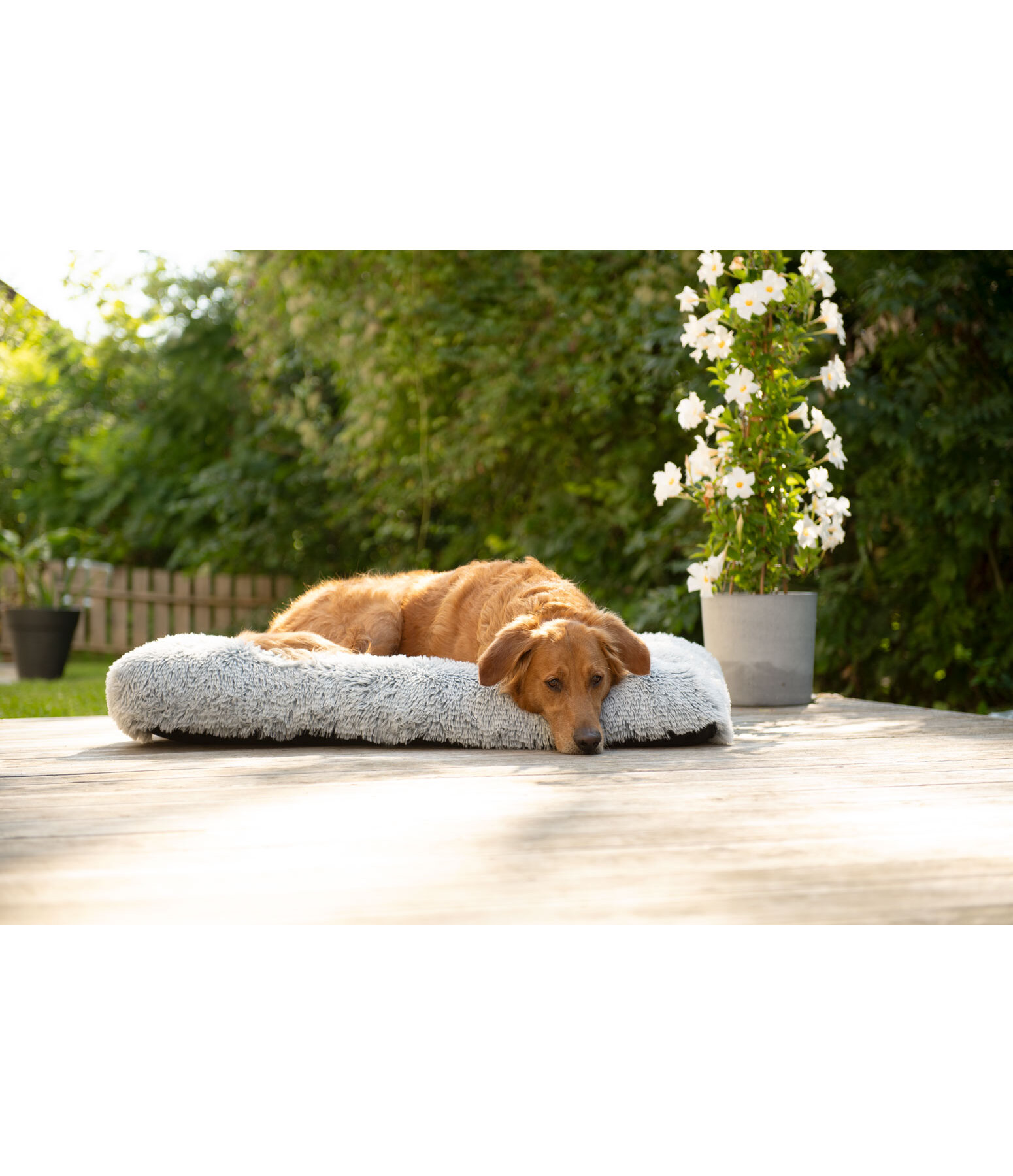 Cuccia per cani Marlie