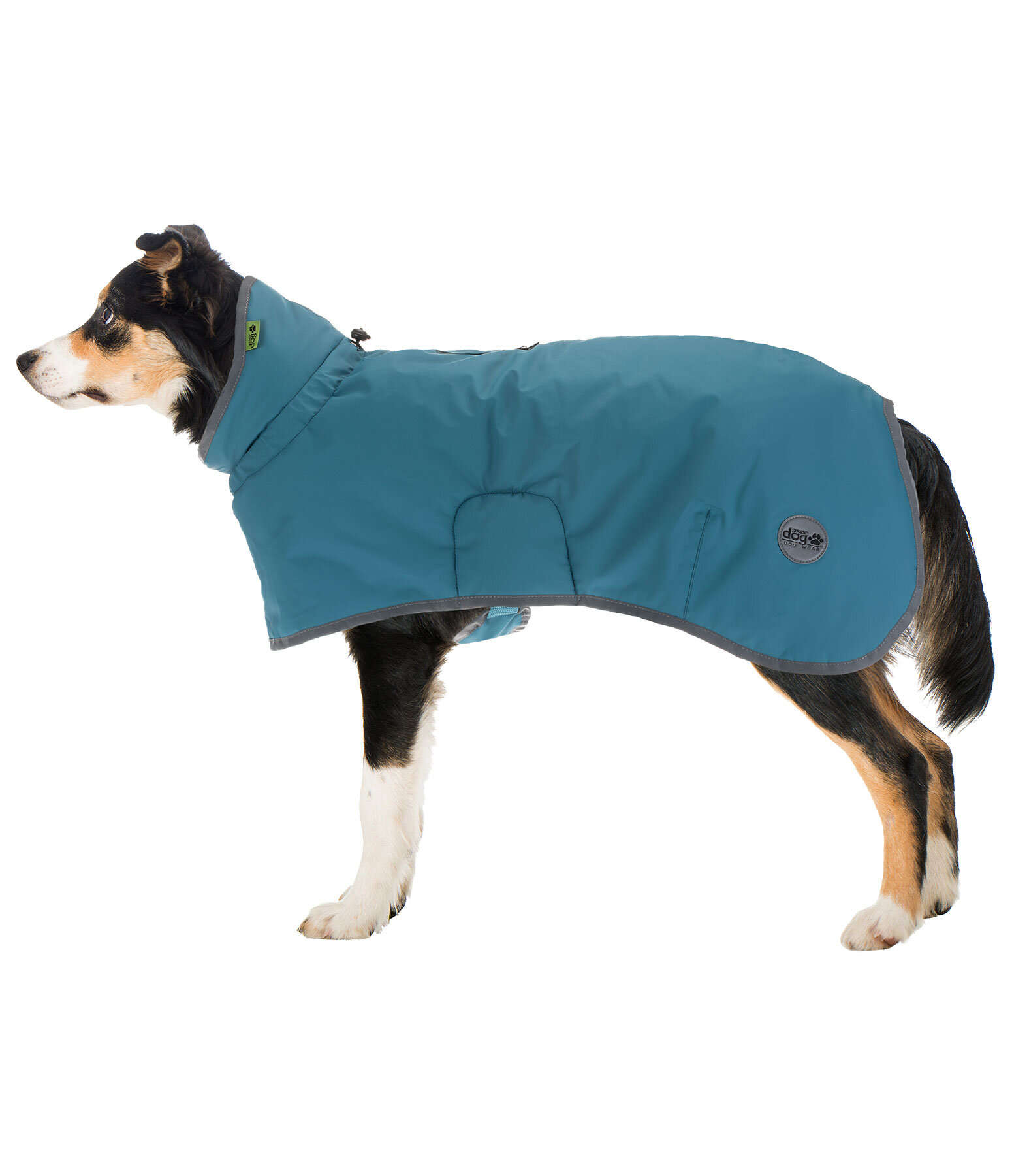 Impermeabile per cani Winter Islands, 160 g