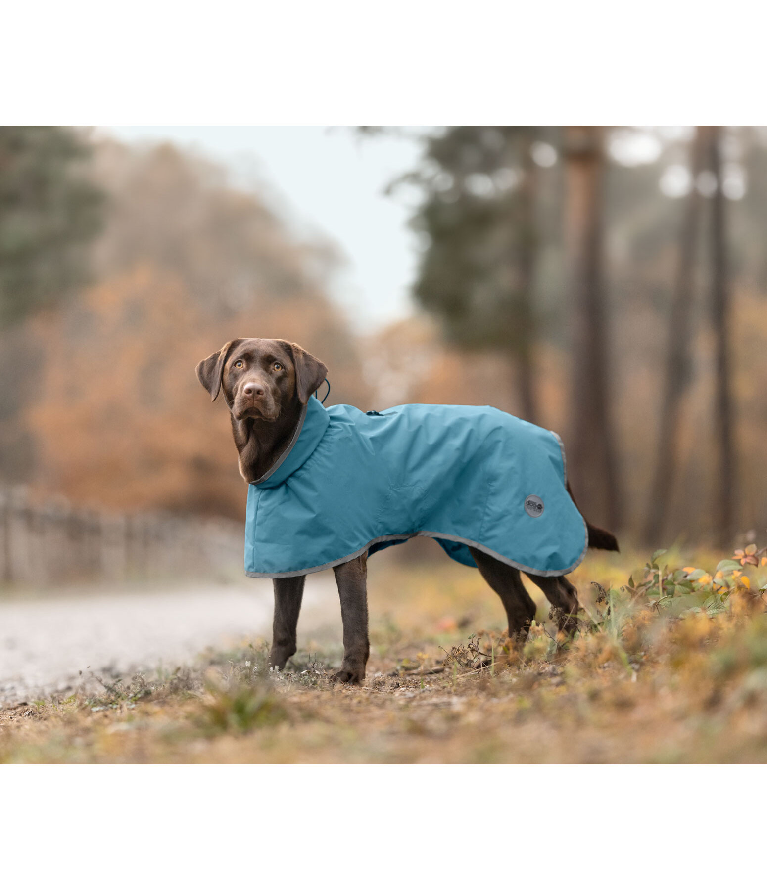Impermeabile per cani Winter Islands, 160 g