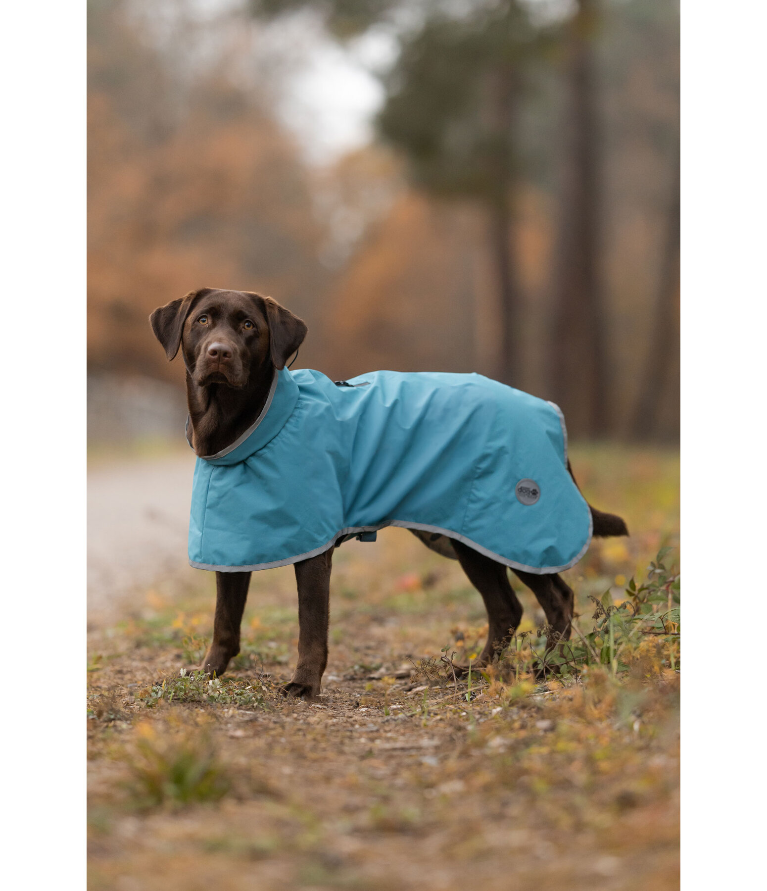 Impermeabile per cani Winter Islands, 160 g