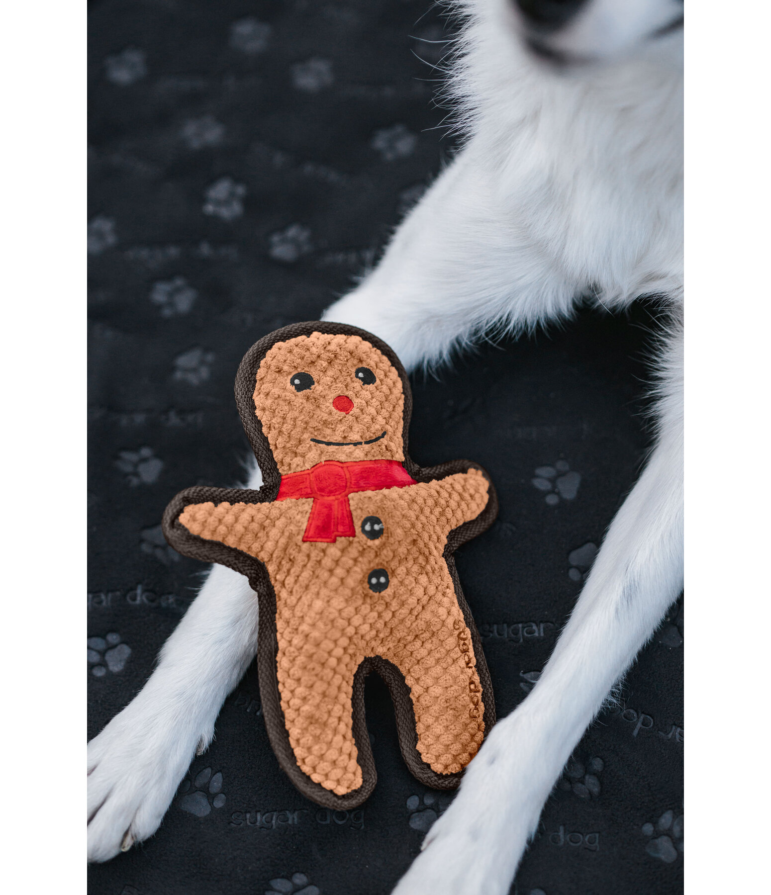 Giocattolo per cani Gingerman