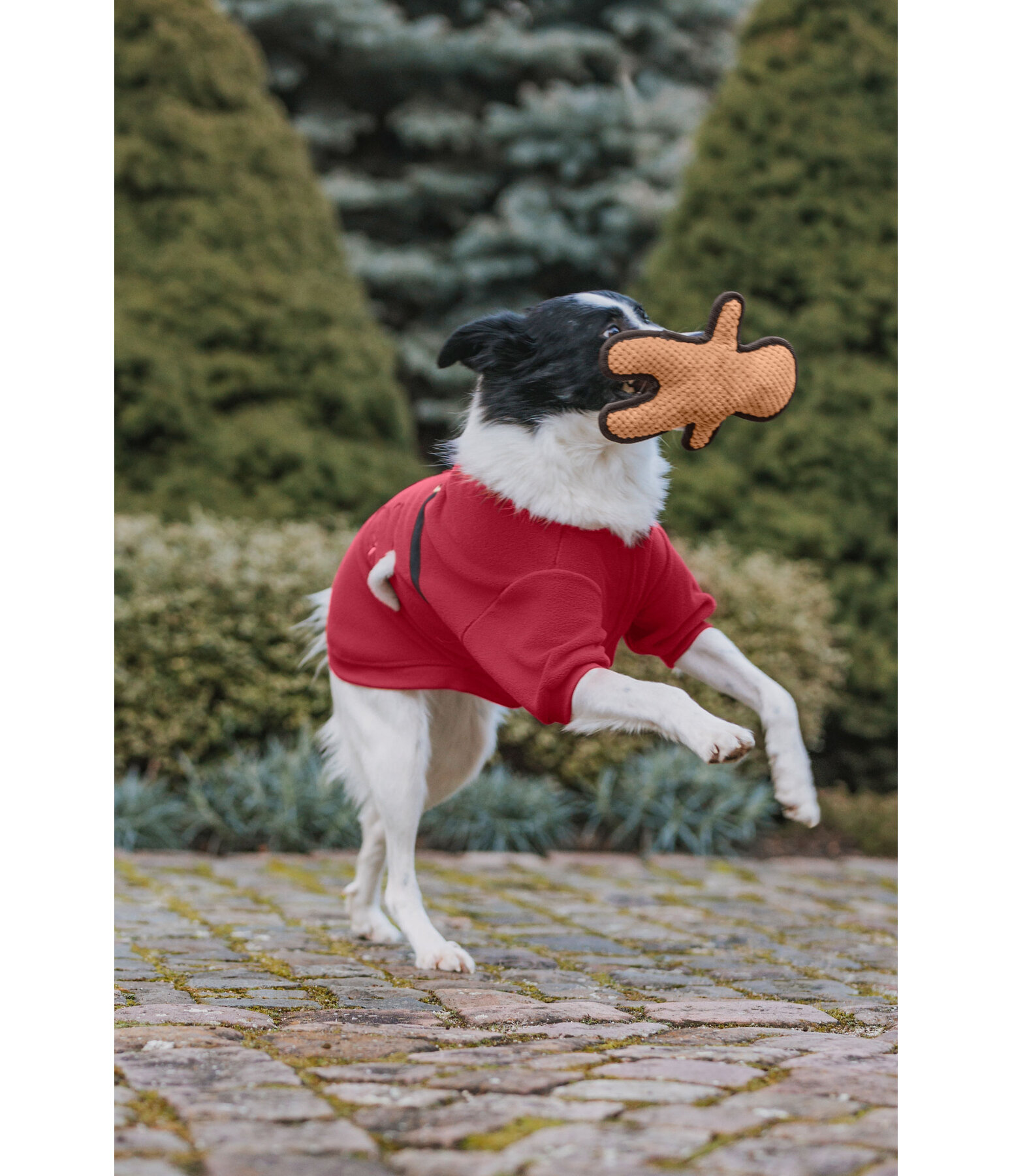 Giocattolo per cani Gingerman