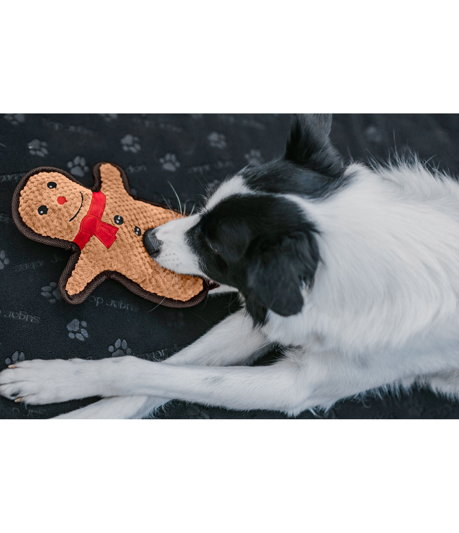 Giocattolo per cani Gingerman
