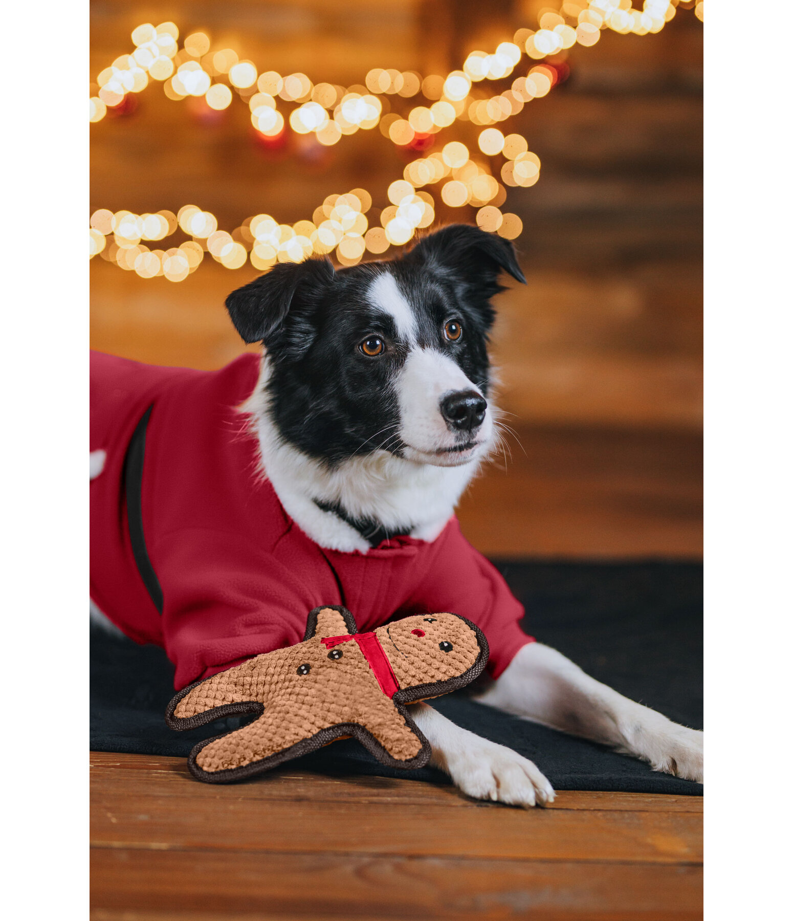 Giocattolo per cani Gingerman