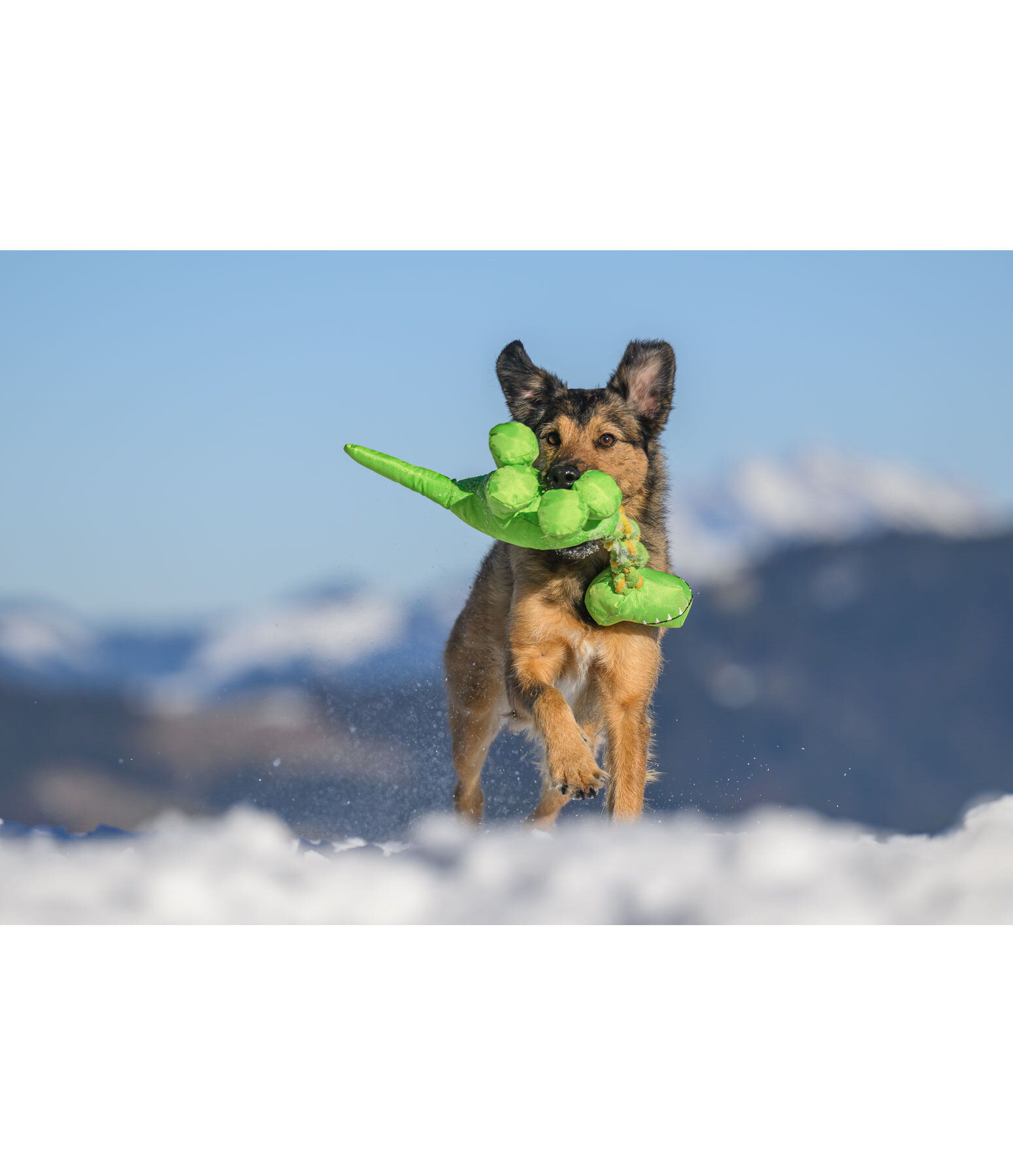 Giocattolo per cani Strong Dino