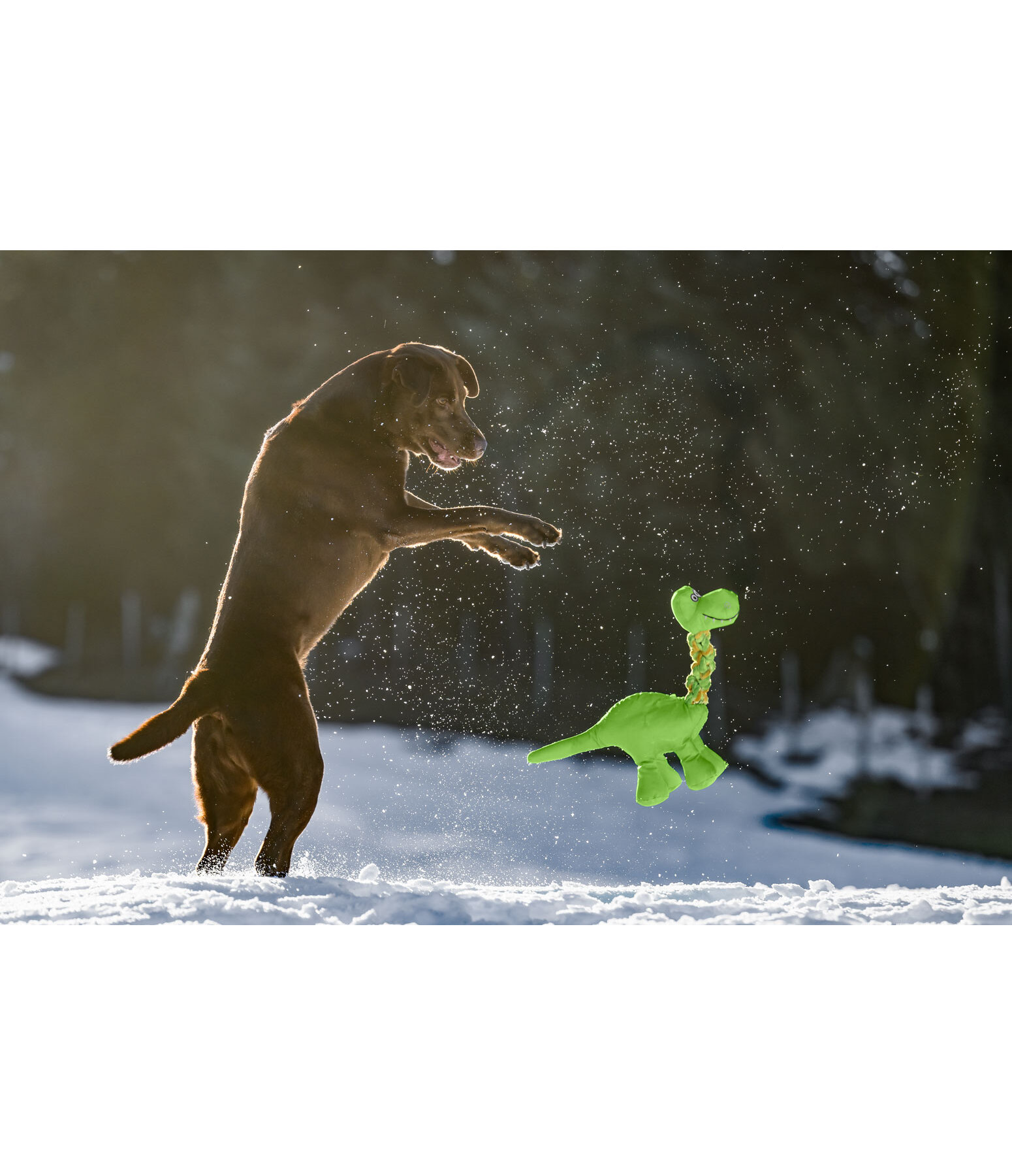 Giocattolo per cani Strong Dino