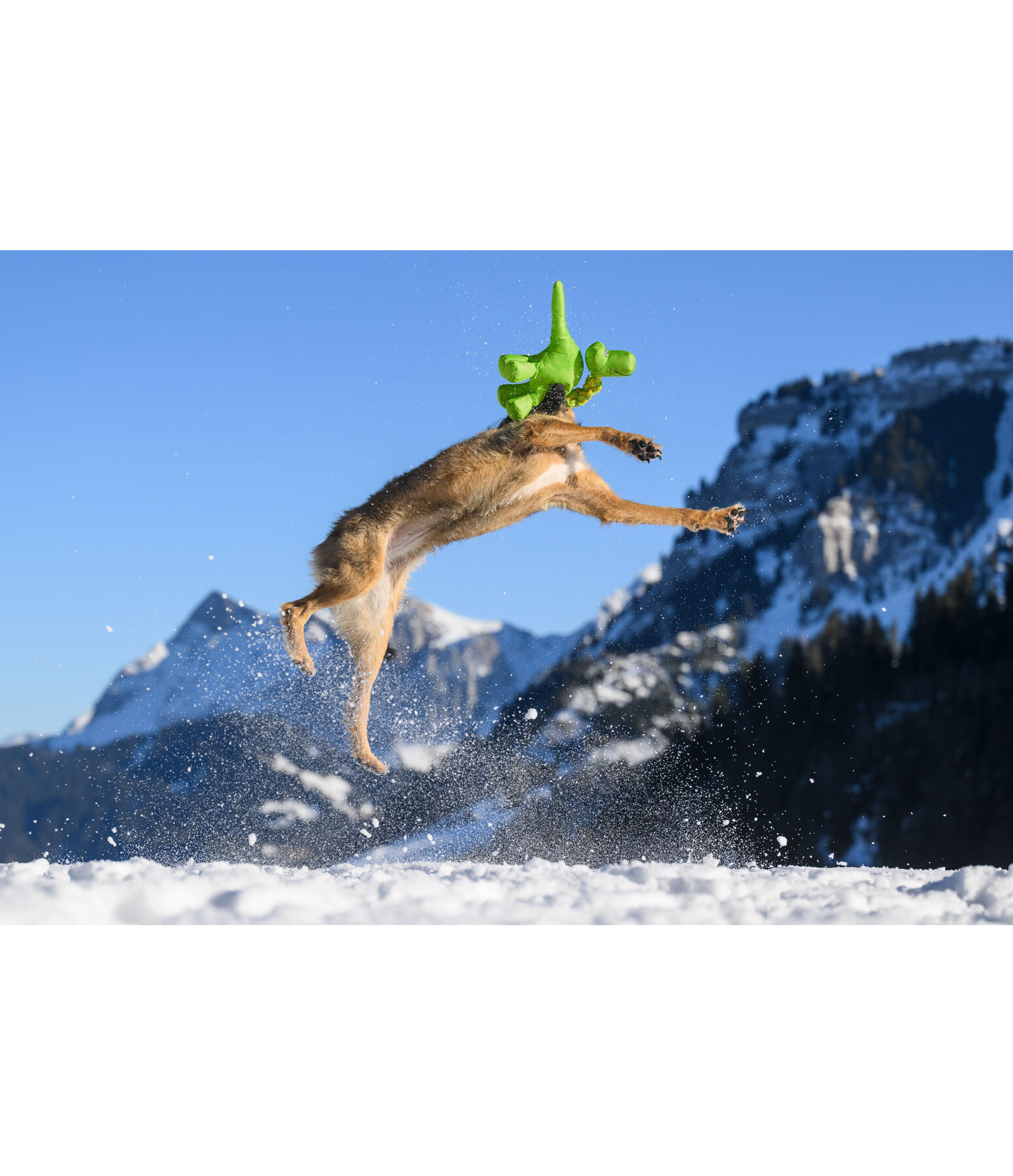 Giocattolo per cani Strong Dino