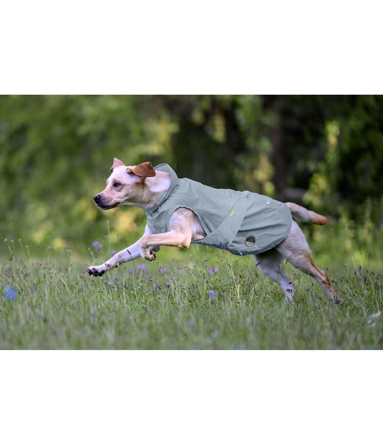 Impermeabile riflettente per cani To Go