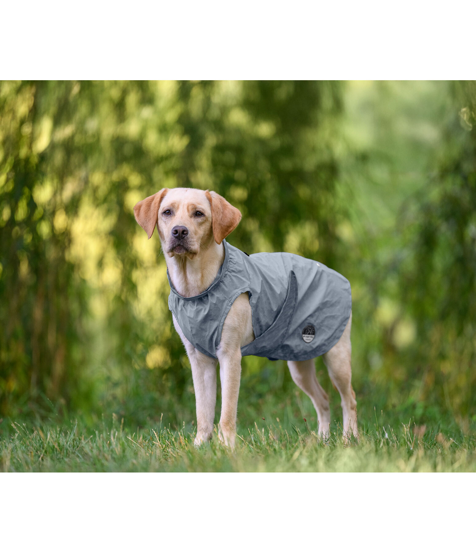 Impermeabile riflettente per cani To Go