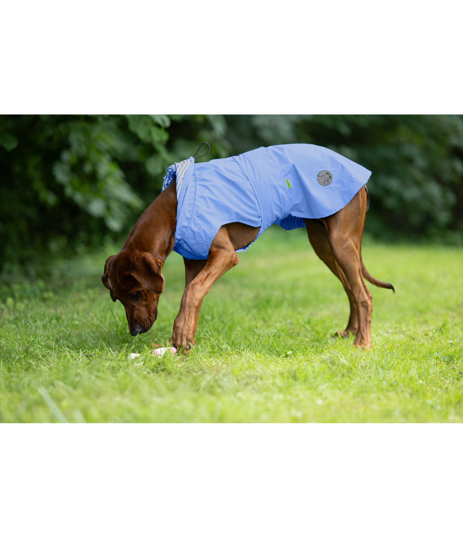 Impermeabile per cani Emmi