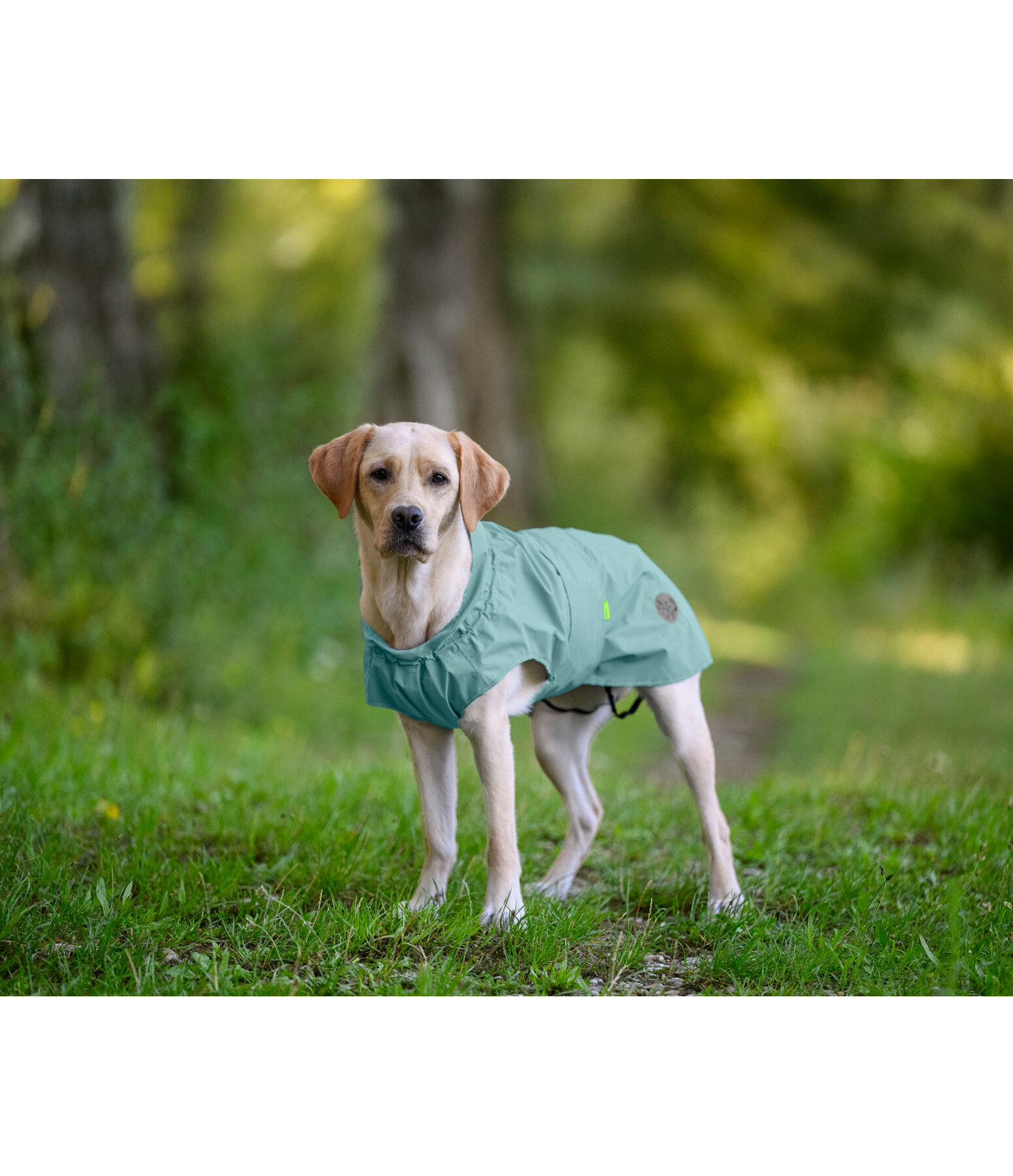 Impermeabile per cani Emmi