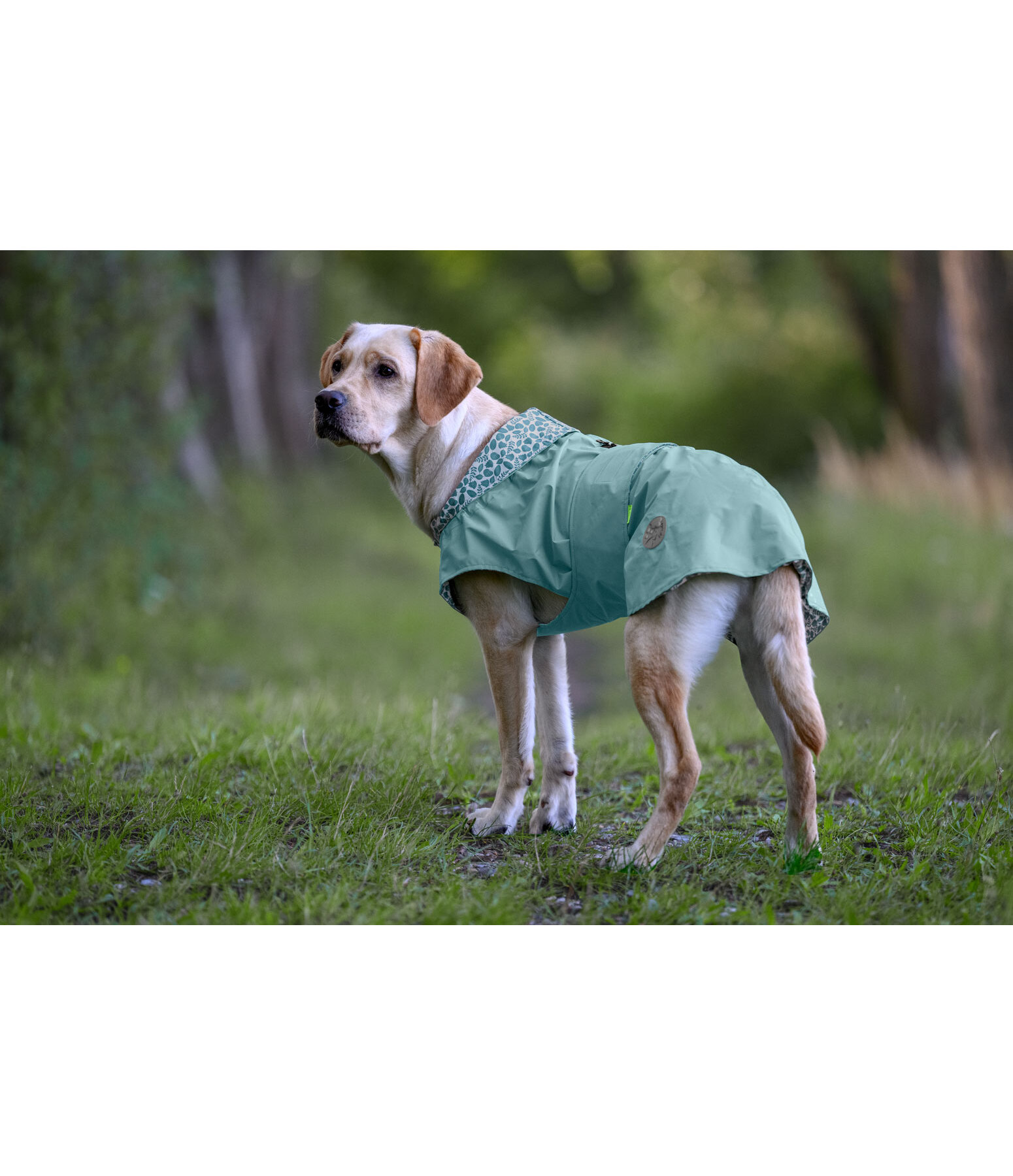 Impermeabile per cani Emmi