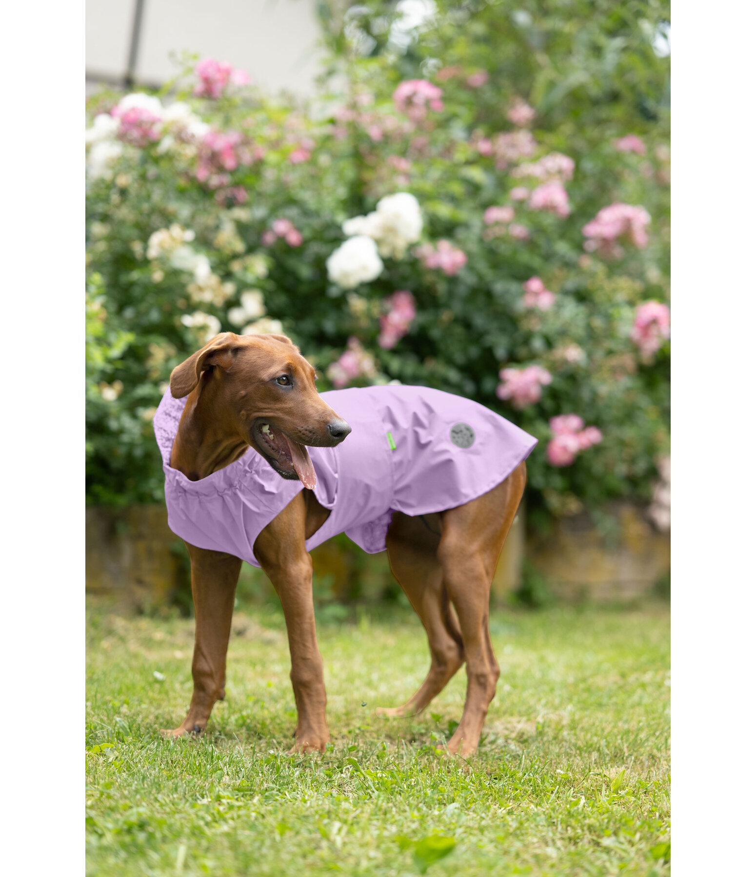 Impermeabile per cani Emmi