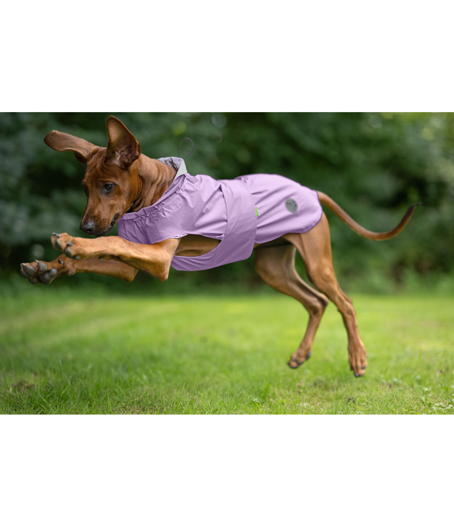 Impermeabile per cani Emmi