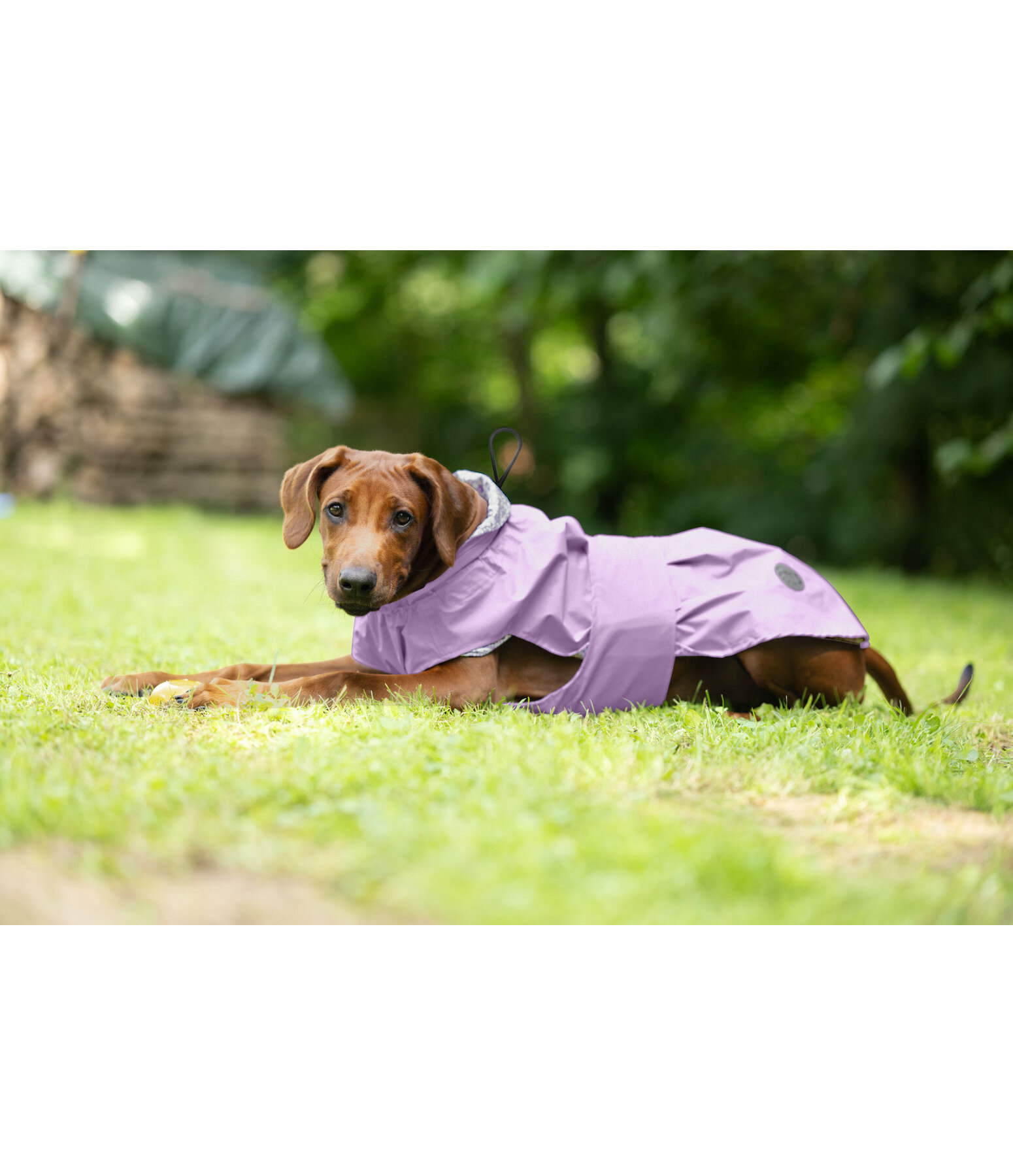 Impermeabile per cani Emmi