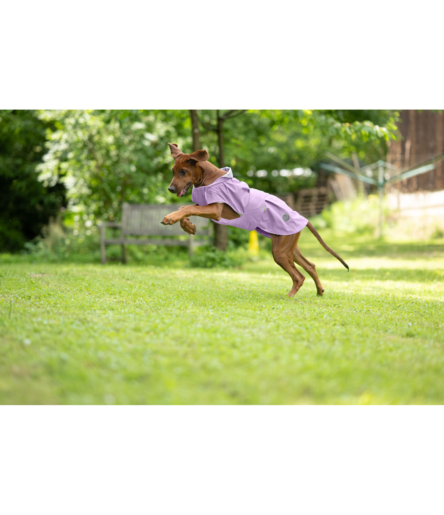 Impermeabile per cani Emmi