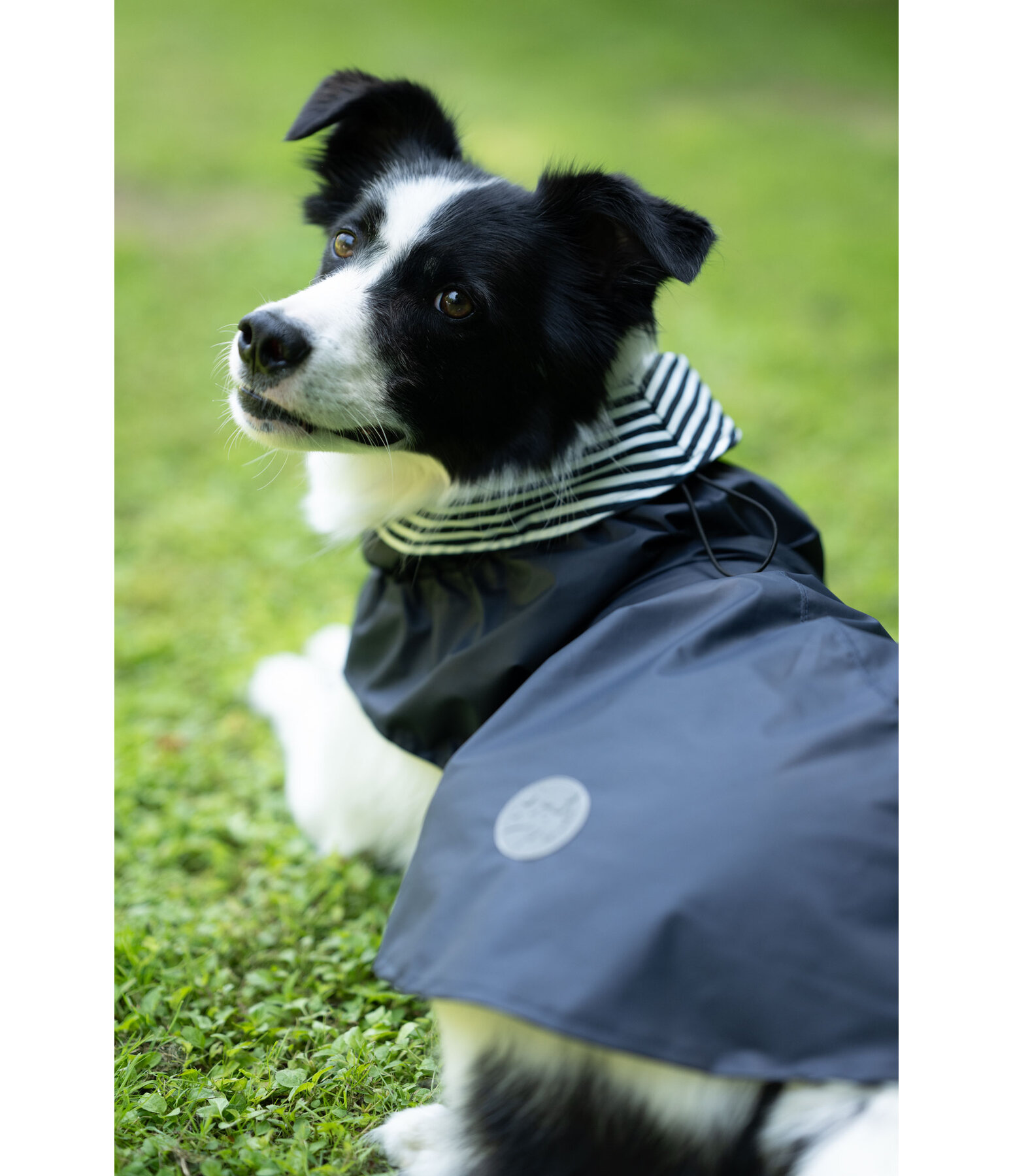 Impermeabile per cani Emmi