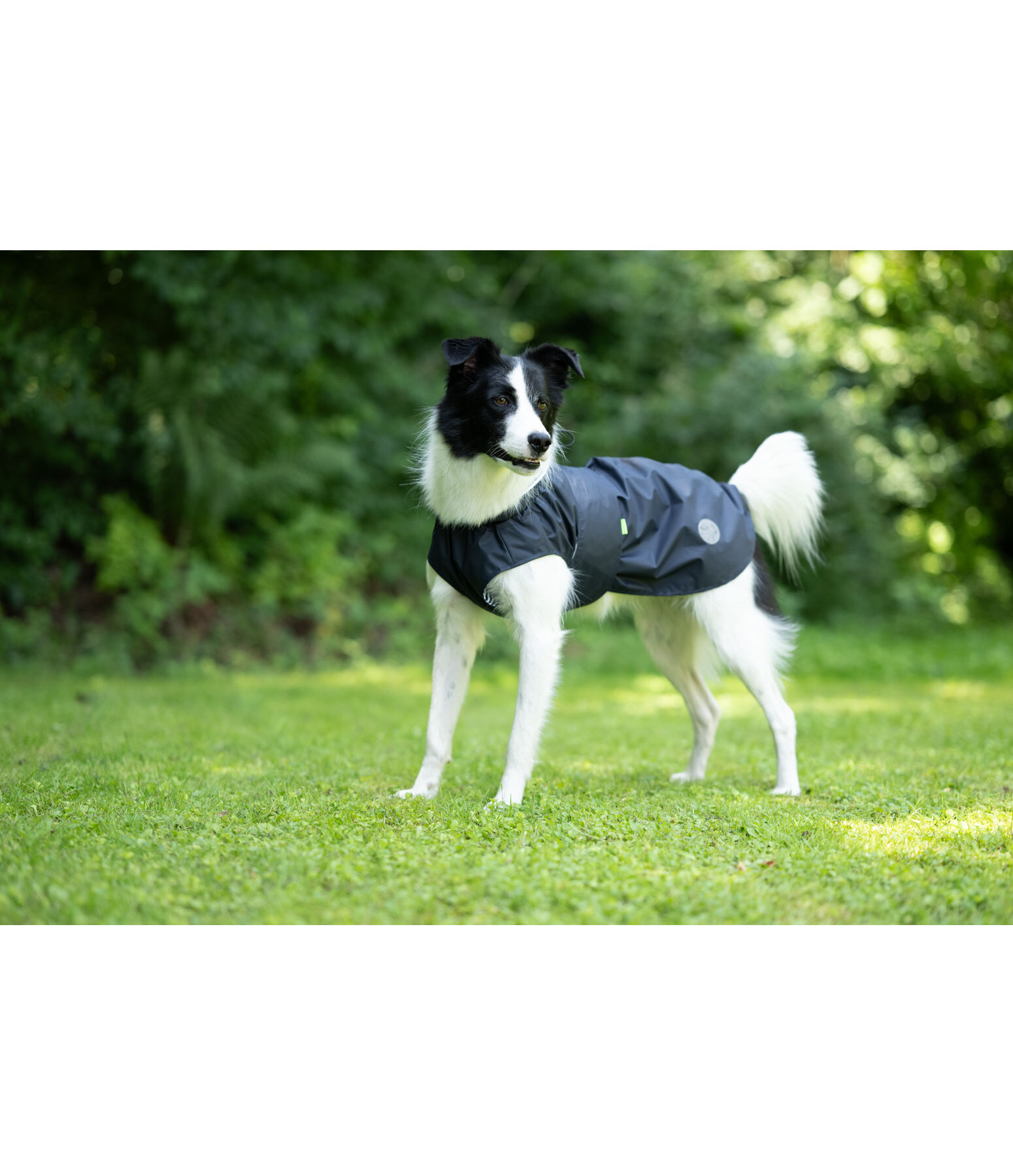 Impermeabile per cani Emmi