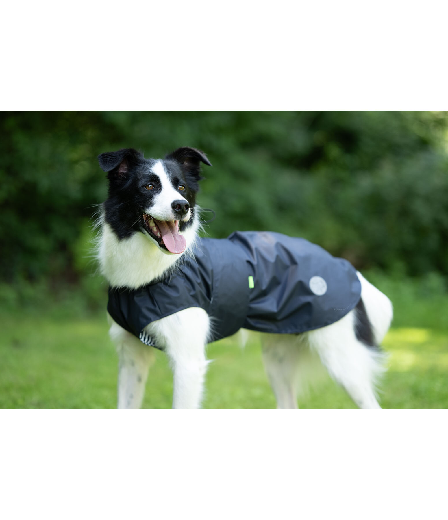 Impermeabile per cani Emmi