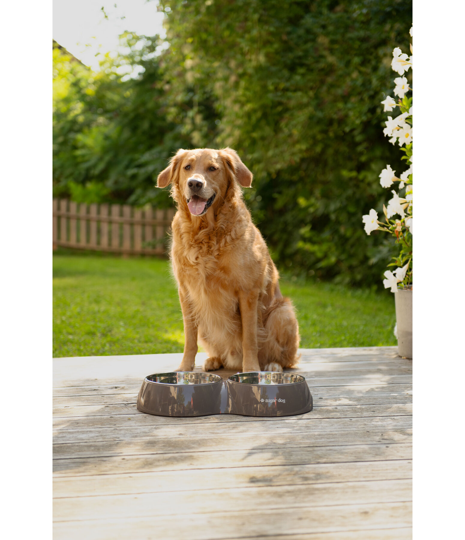 Ciotola doppia per cani