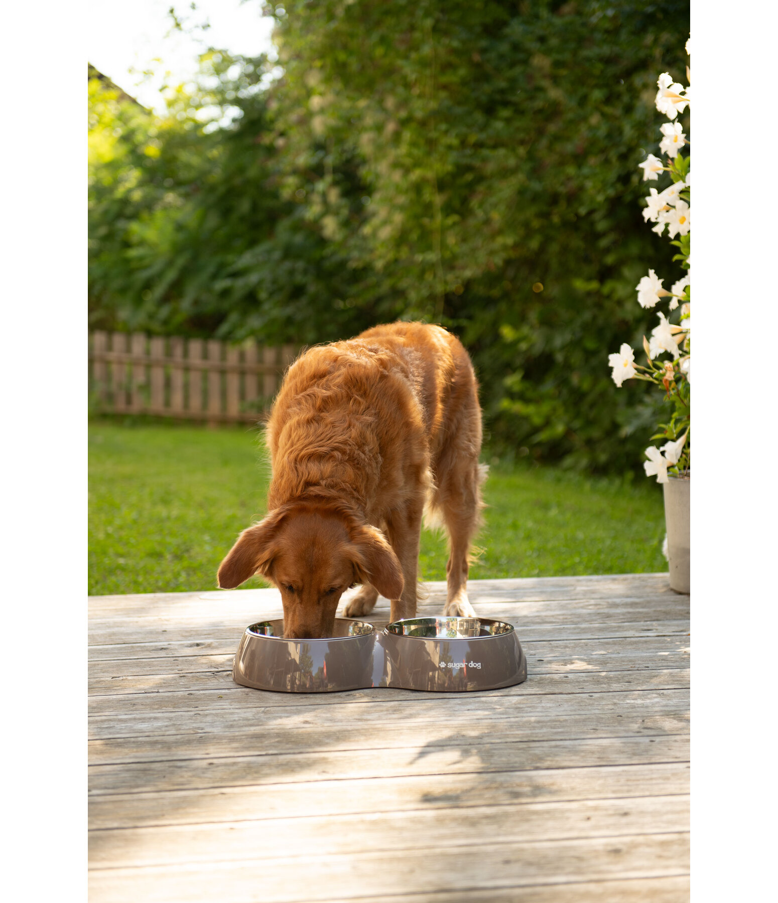 Ciotola doppia per cani