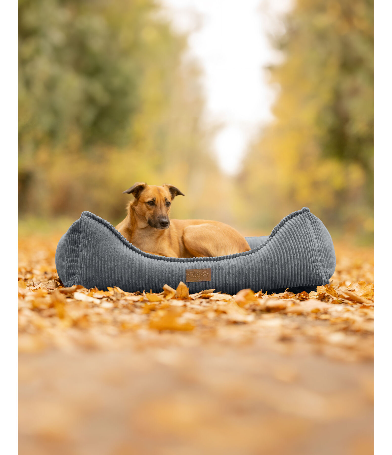 Cuccia per cani Cord